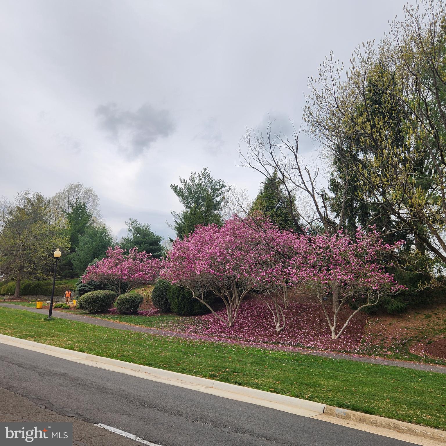 HERITAGE HUNT - Residential