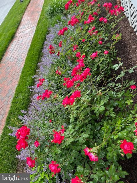 GIBSONS GRANT - Residential