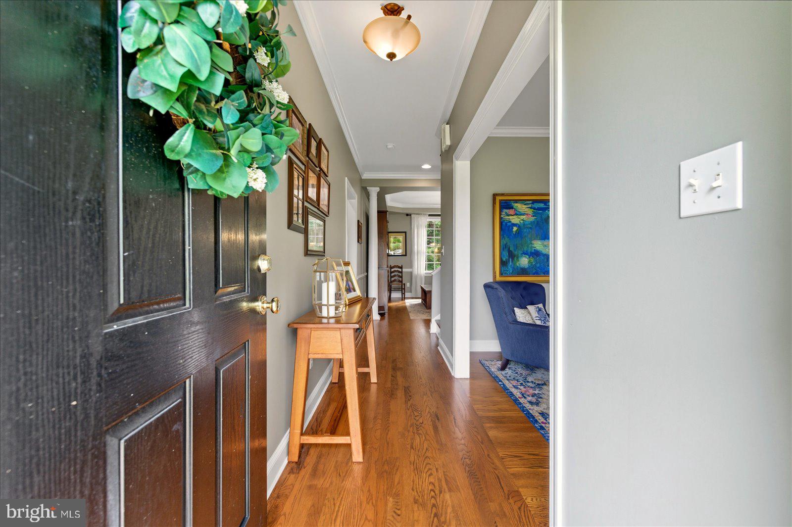 OLDE TOWN - Residential