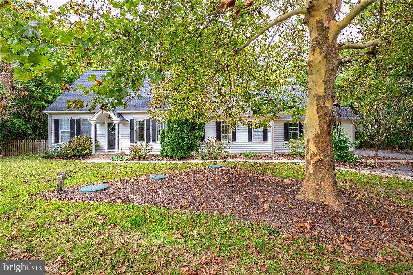 OLDE TOWN - Residential