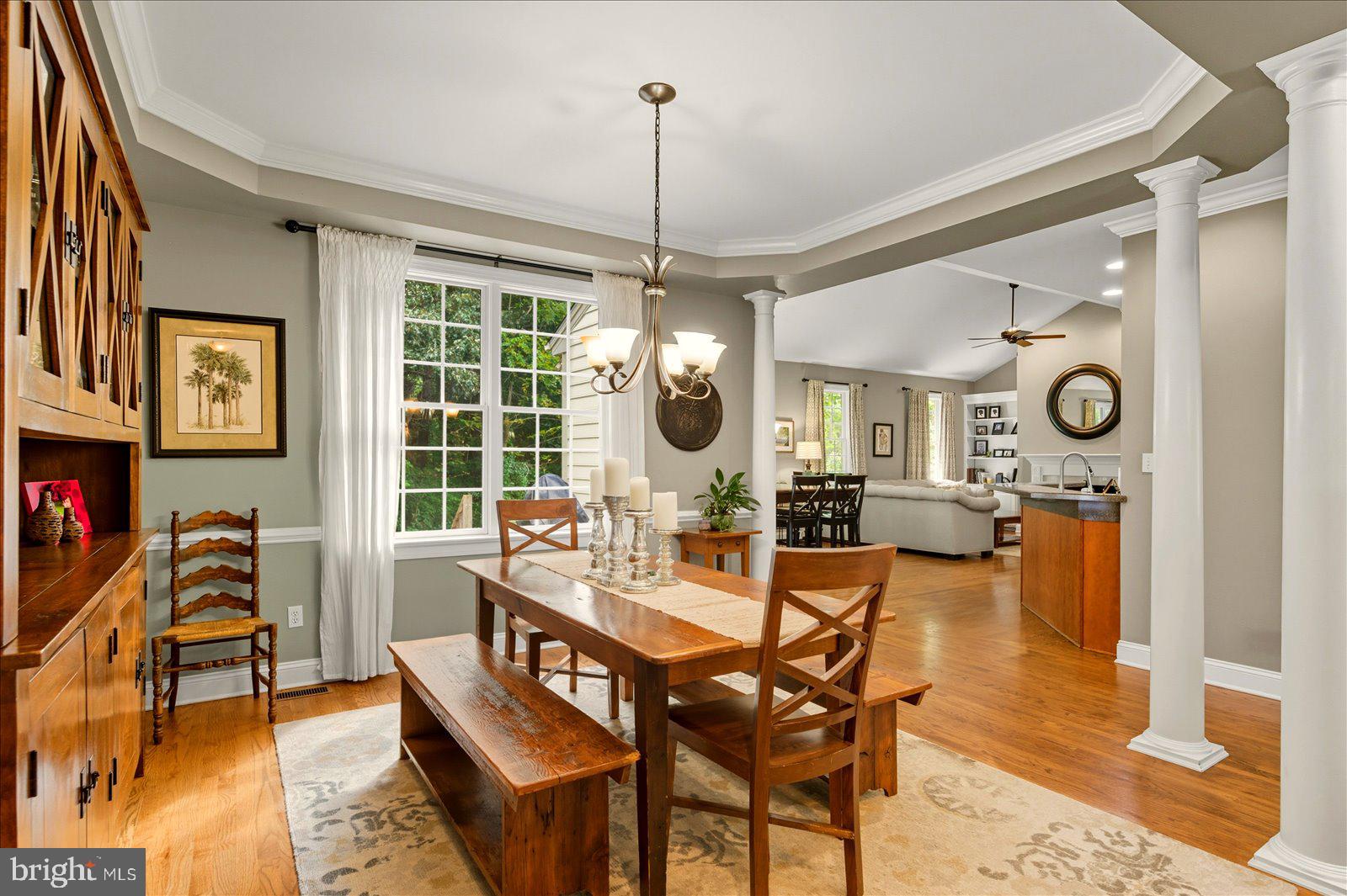 OLDE TOWN - Residential