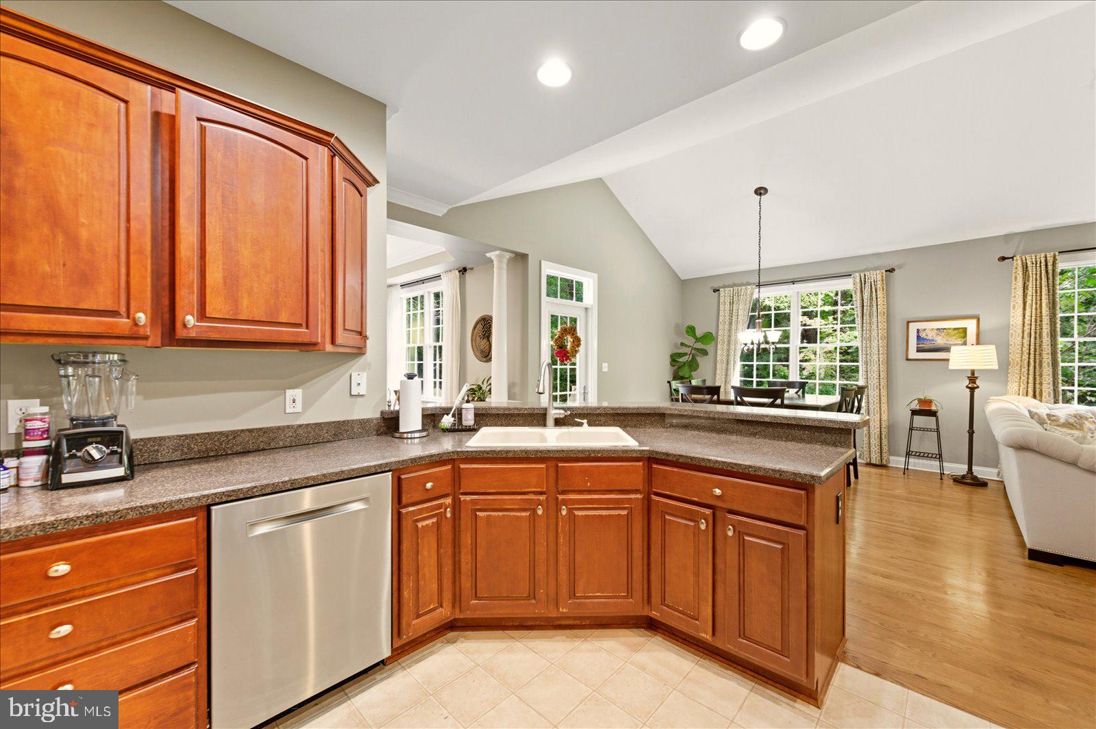 OLDE TOWN - Residential