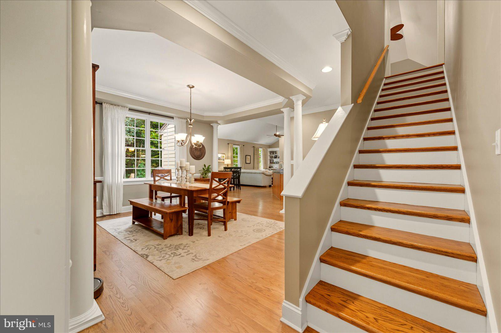 OLDE TOWN - Residential