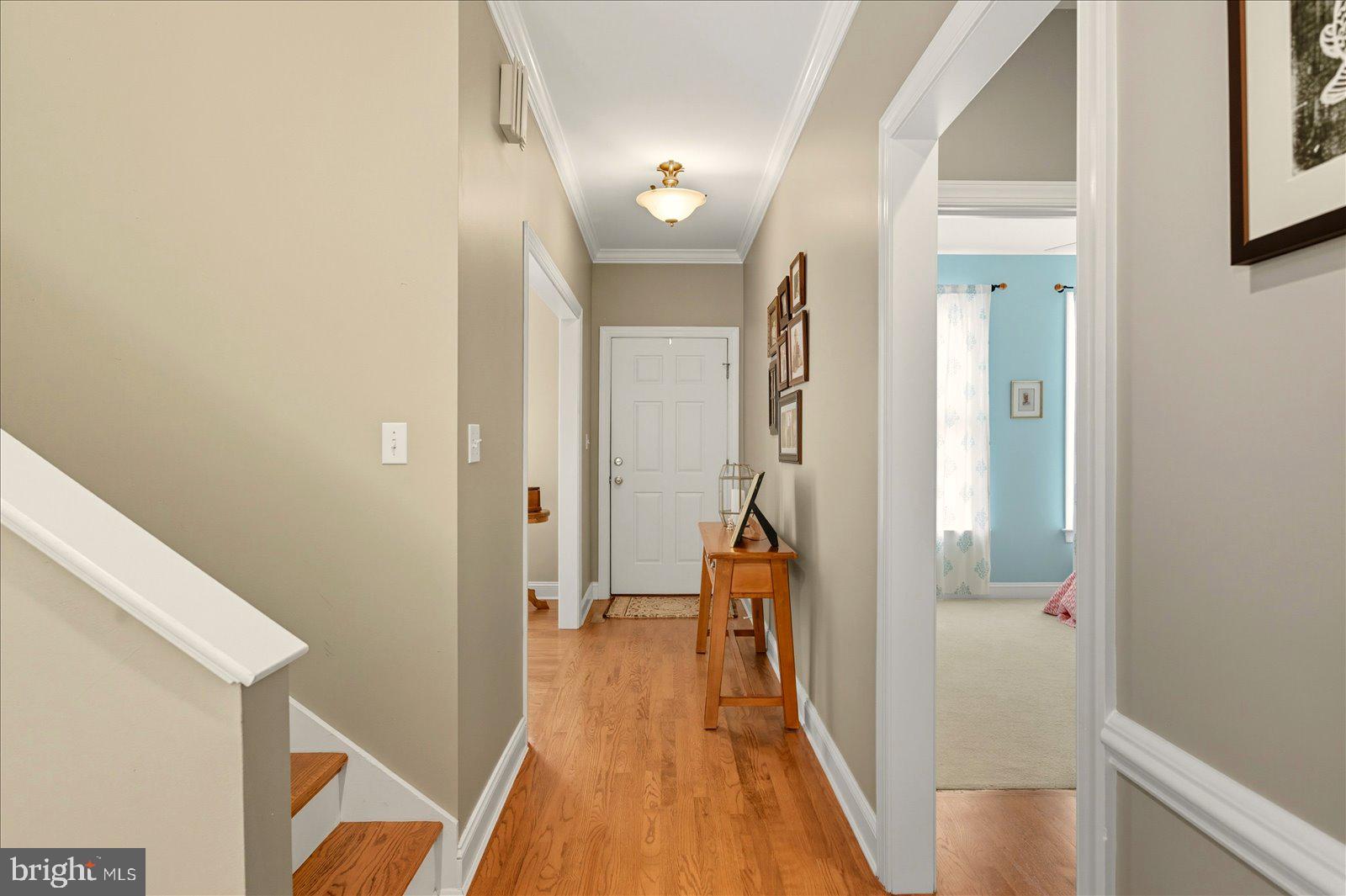 OLDE TOWN - Residential