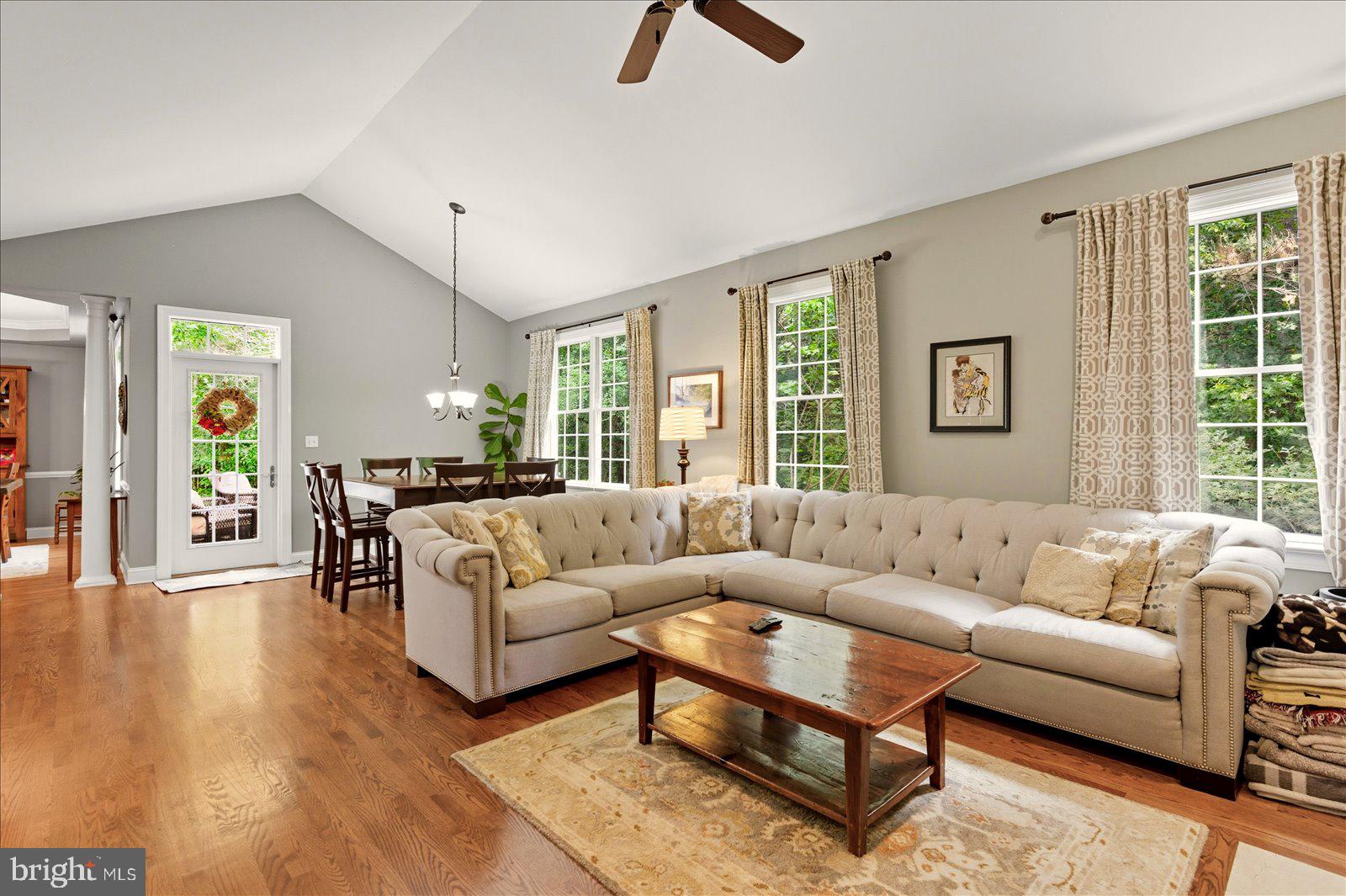 OLDE TOWN - Residential