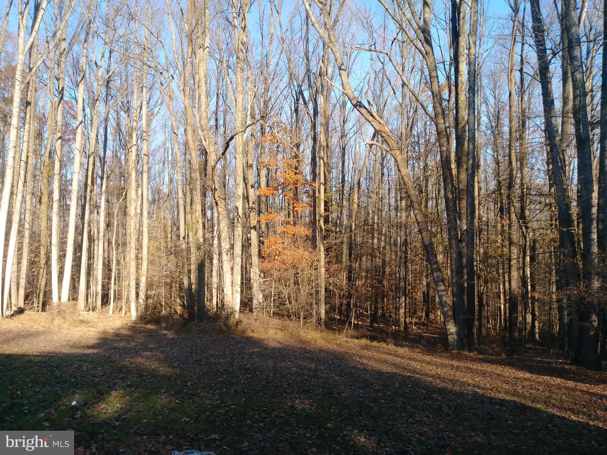 MONKTON - Residential