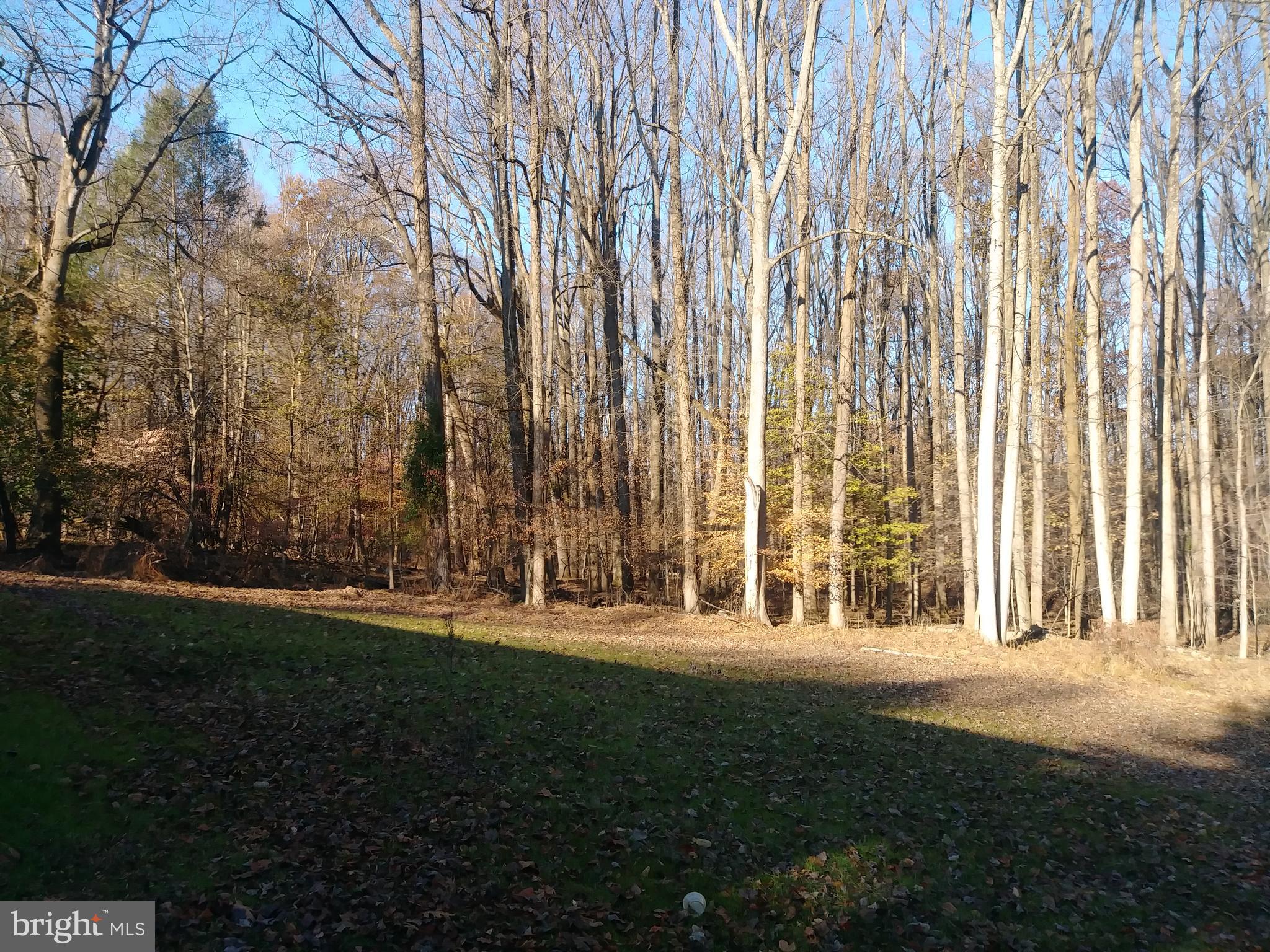 MONKTON - Residential