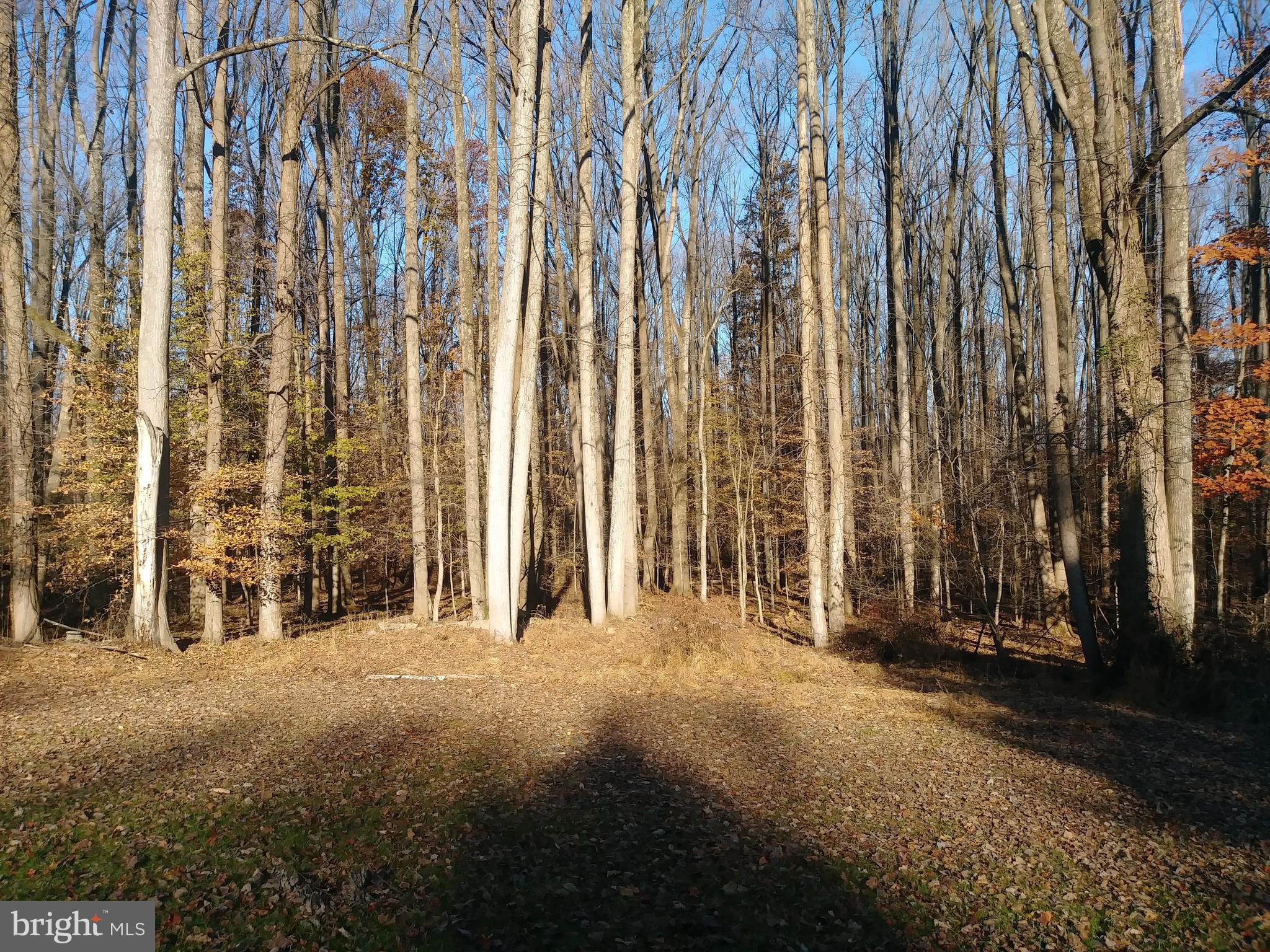 MONKTON - Residential