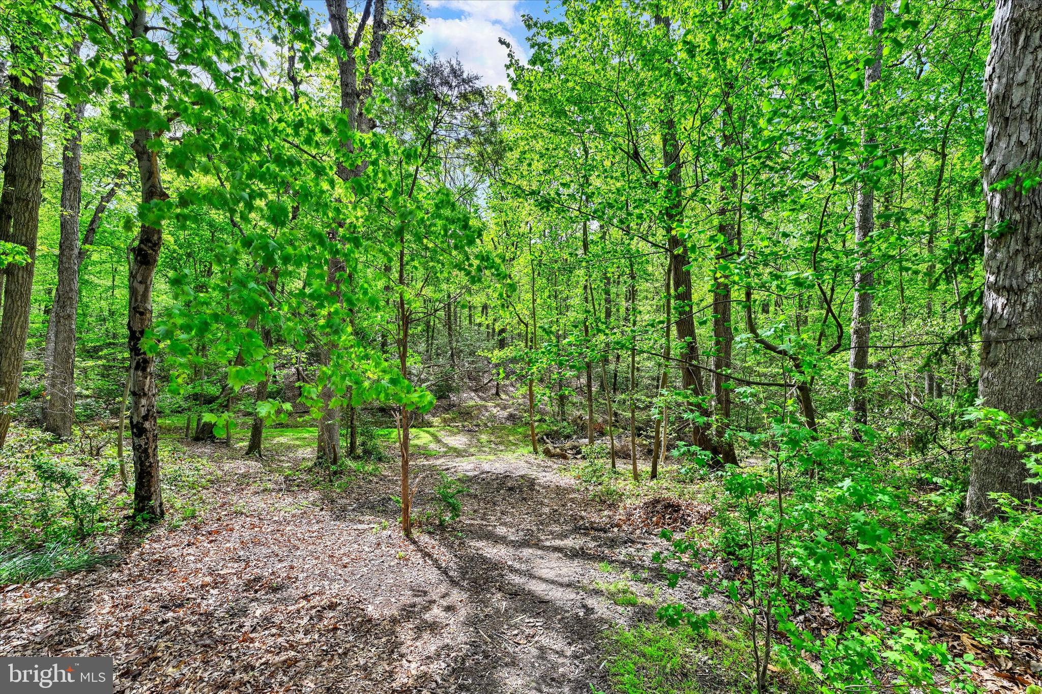 ABINGDON ESTATES - Residential