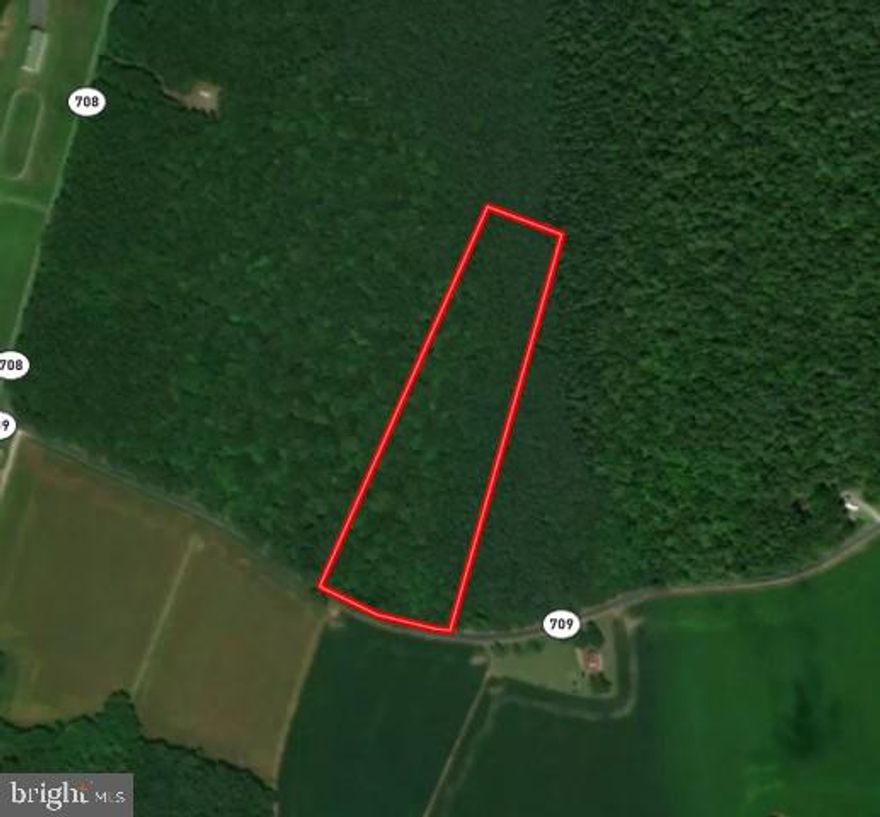 7.33 wooded acres in the Baywatch Community of Accomack County, Virginia. 5+/- acres of lower woods with higher ground towards the front of the lot. Building feasibility is unknown at this time.