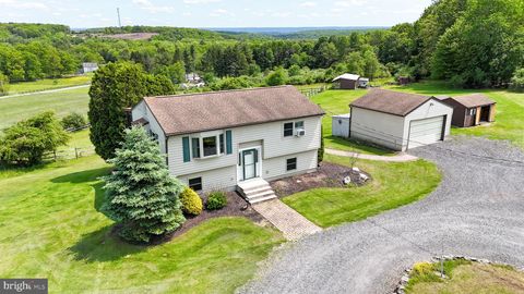 924 HELL HOLLOW ROAD KUNKLETOWN PA 18058