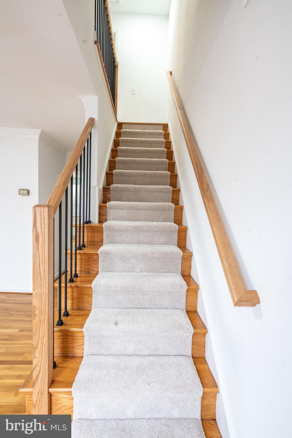 ALEXANDRIA - Residential