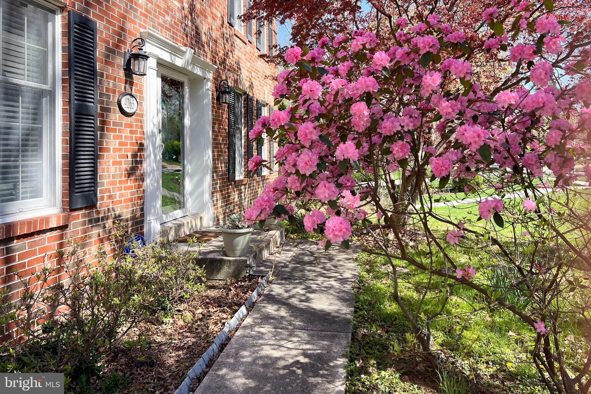 DORSEY HALL - Residential
