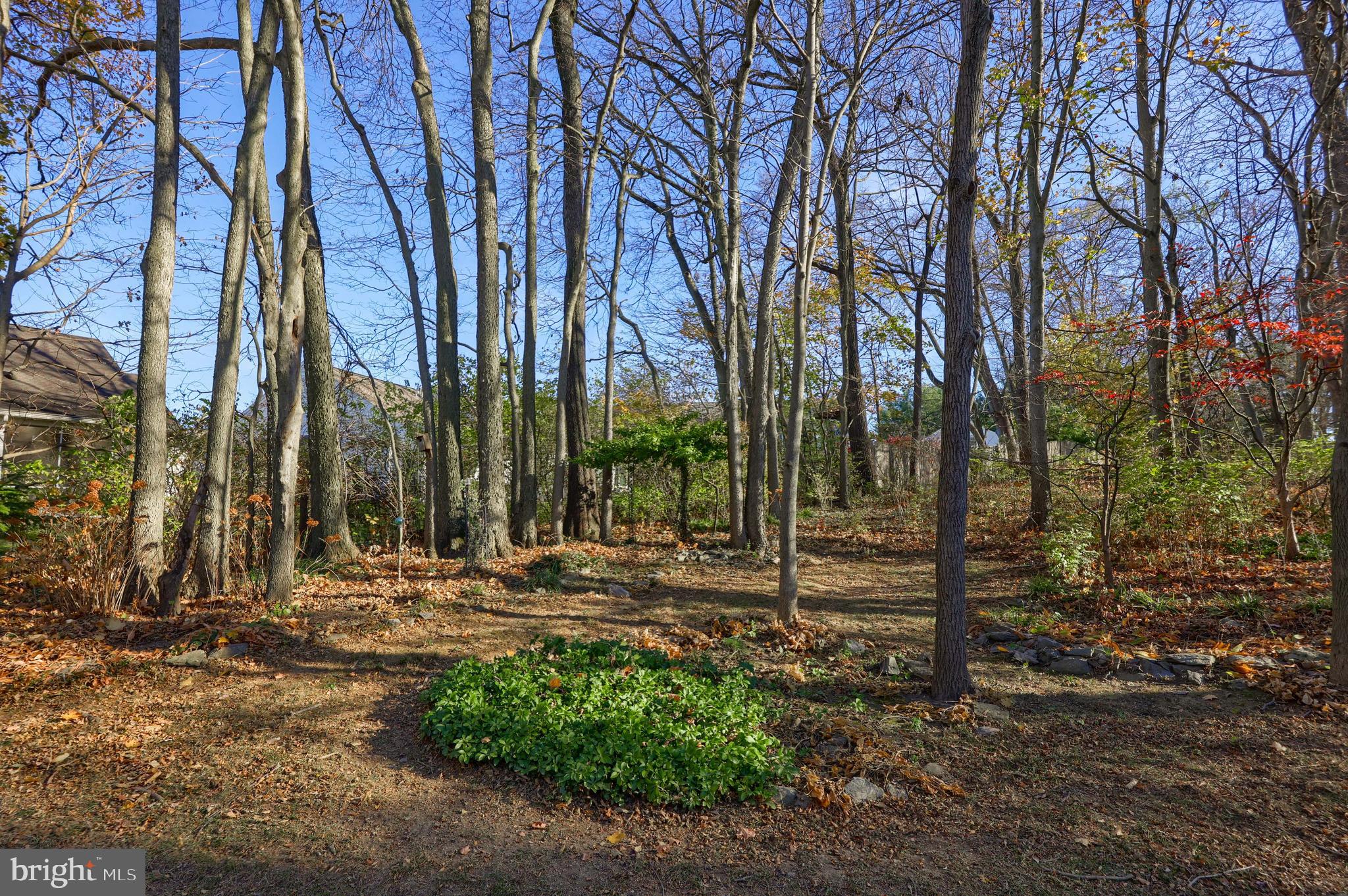 RIVER BEND PARK - Residential