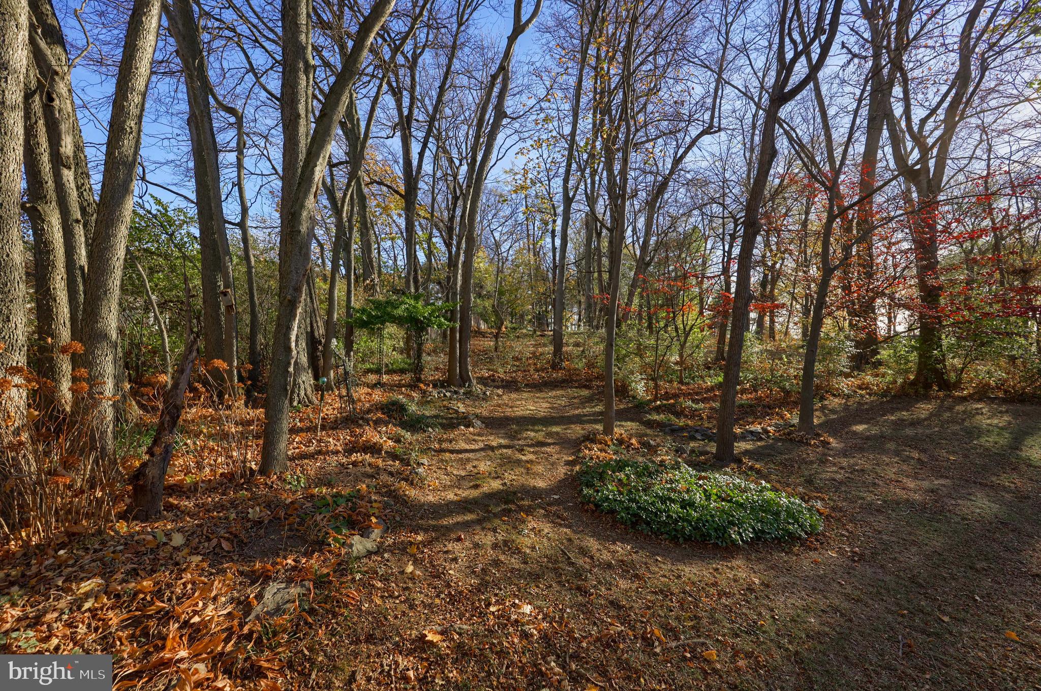 RIVER BEND PARK - Residential