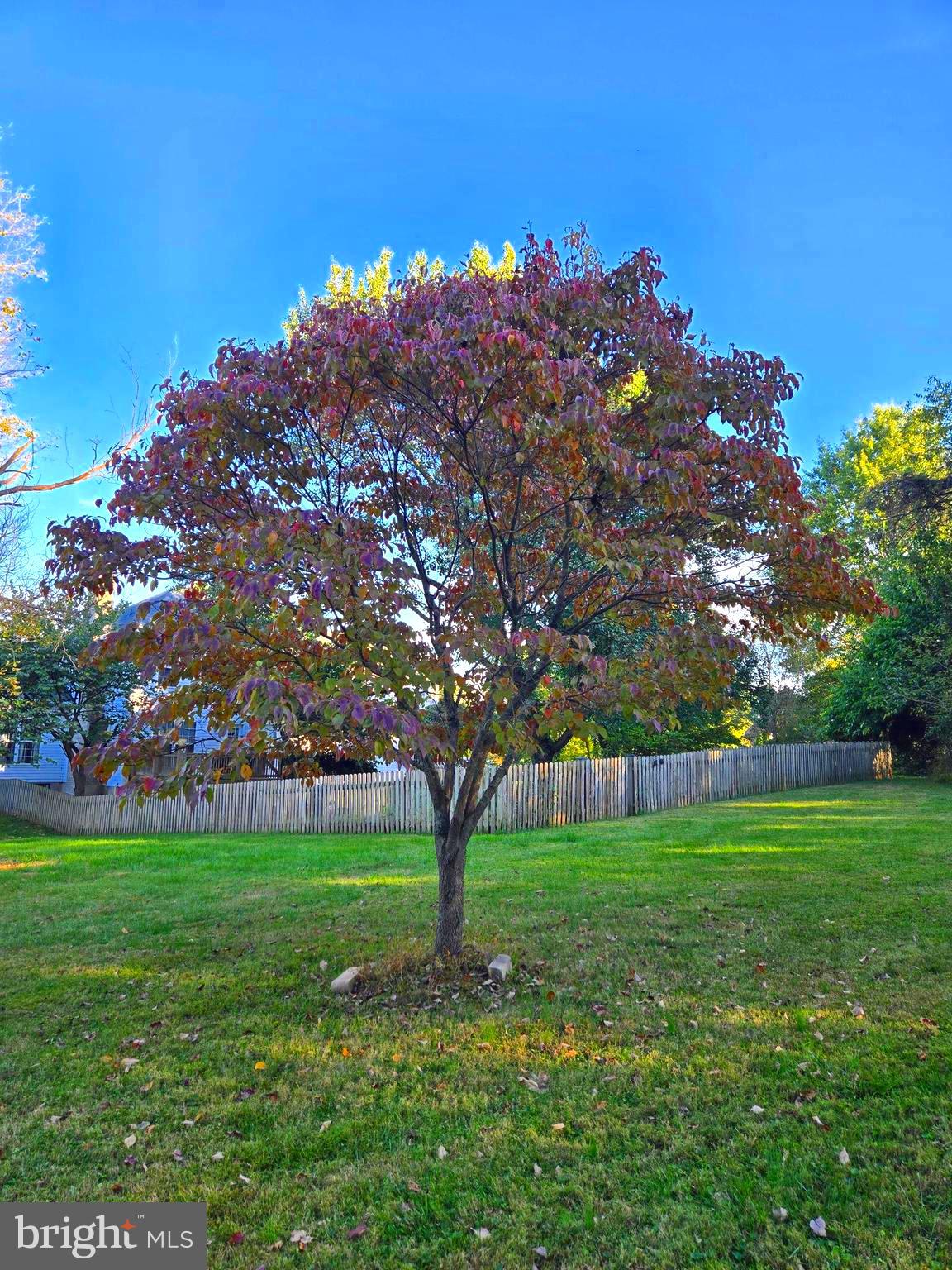 GLENN MEADOWS - Residential