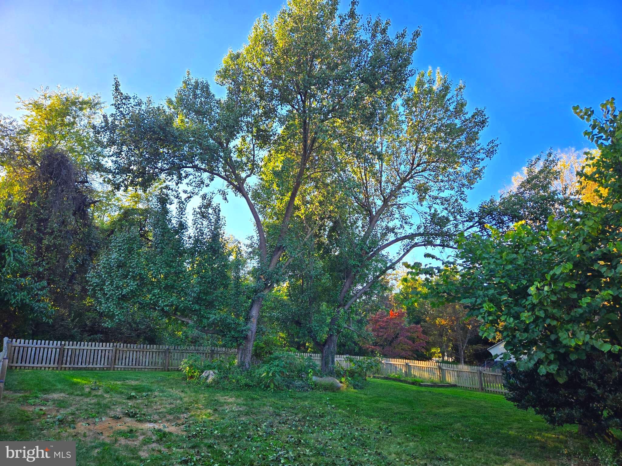 GLENN MEADOWS - Residential