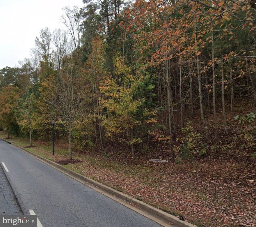 Seller Financing Available - call for details!  Large 3.39 acre parcel waiting for your imagination!  Build your dream home or invest in the long-term development option, as land is zoned RSF-95 (4.58 dwellings/acre) with almost 885 feet of road frontage.  Public water and Sewer available.