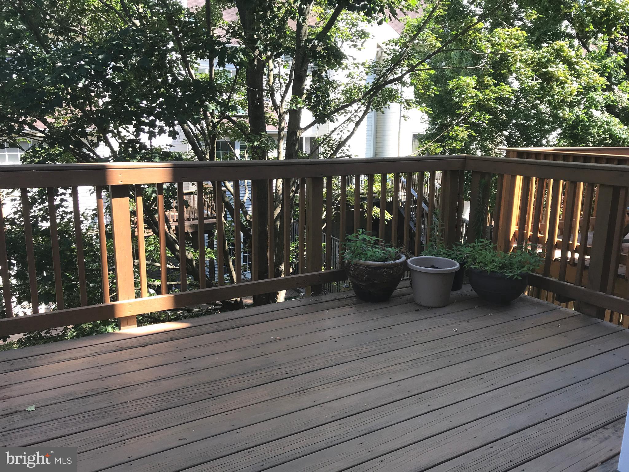 MARSHALL HEIGHTS - Residential Lease