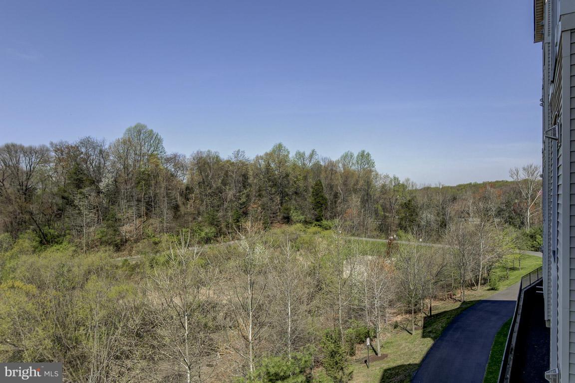 FAIRFAX RIDGE - Residential