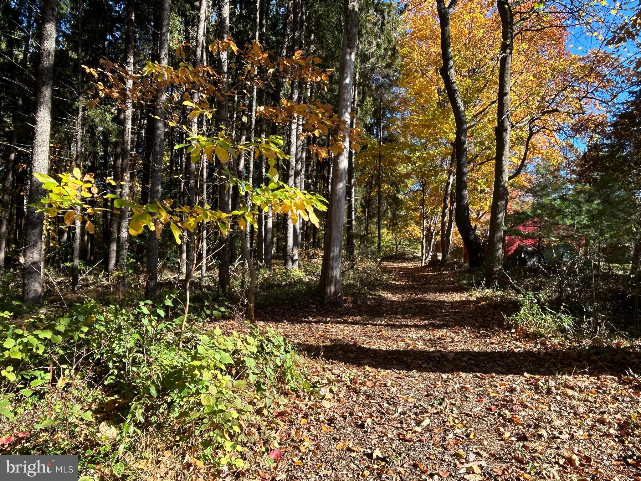 IRON GATE - Residential
