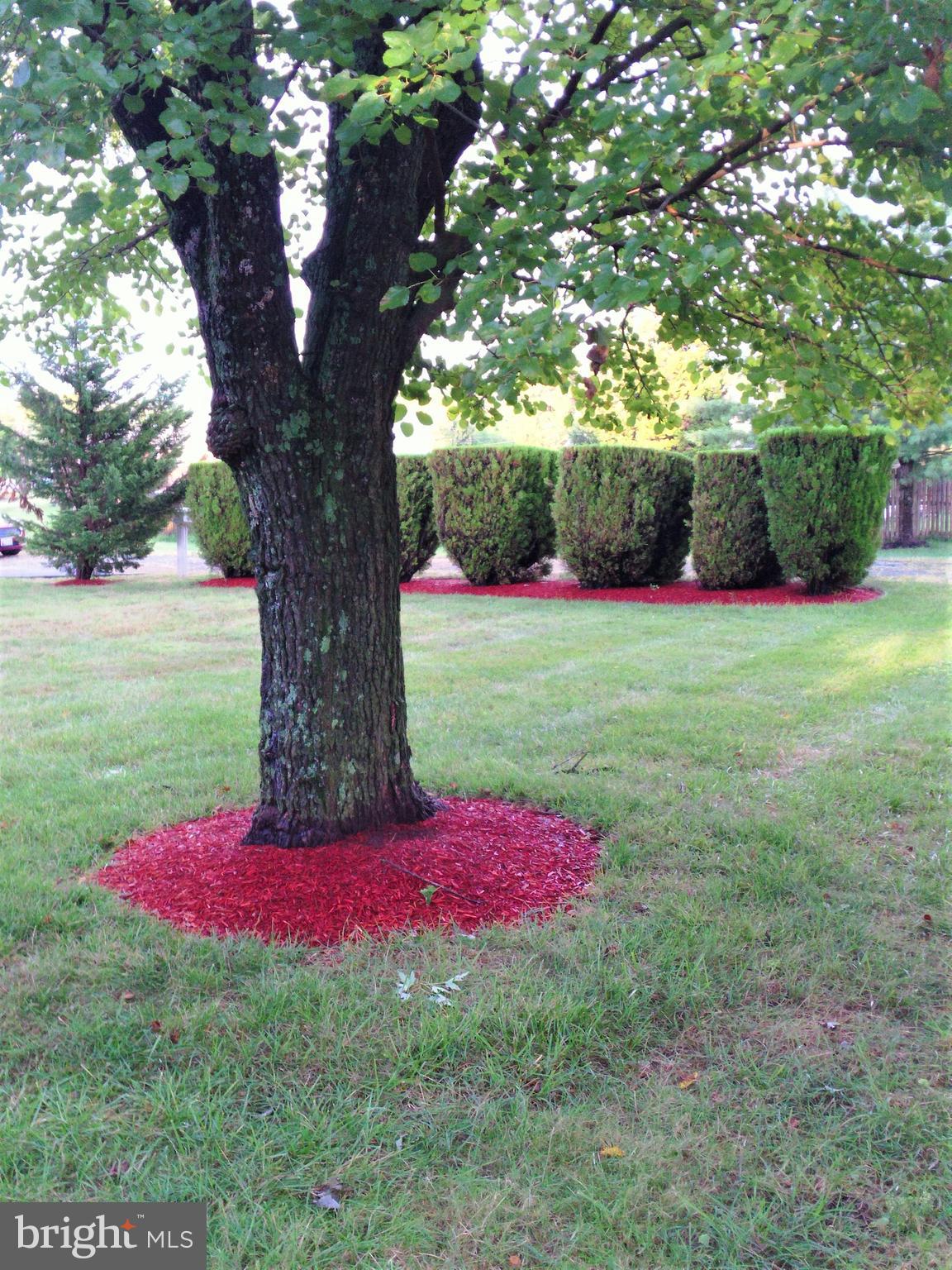 T B MIDDLETON FARM - Residential