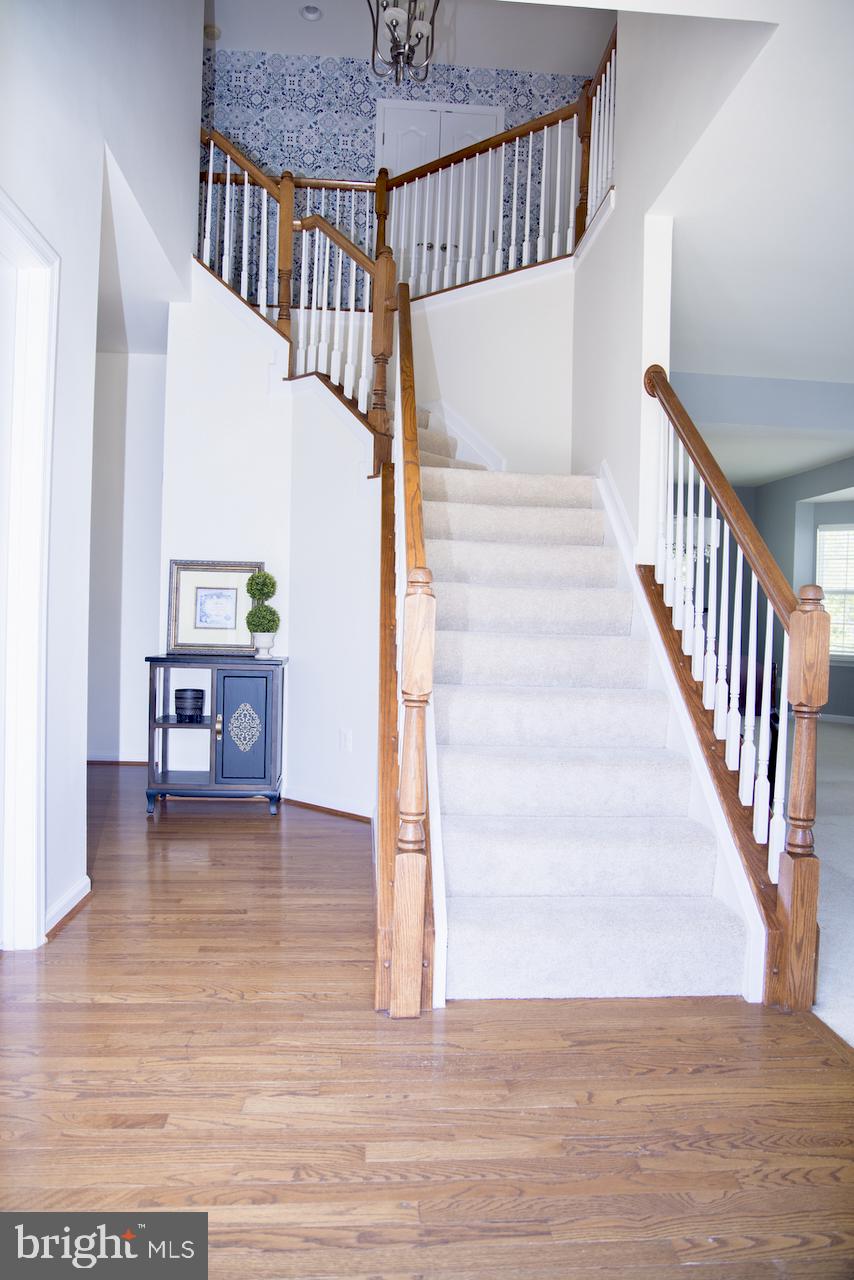 SPRIGGS RUN ESTATES - Residential