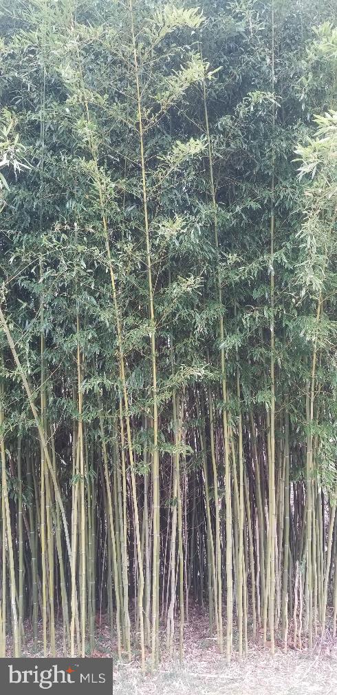 FOUNDERS WOODS - Residential