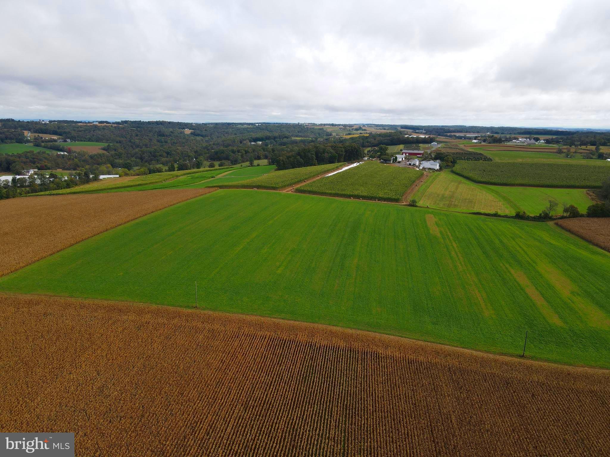 NONE AVAILABLE - Farm