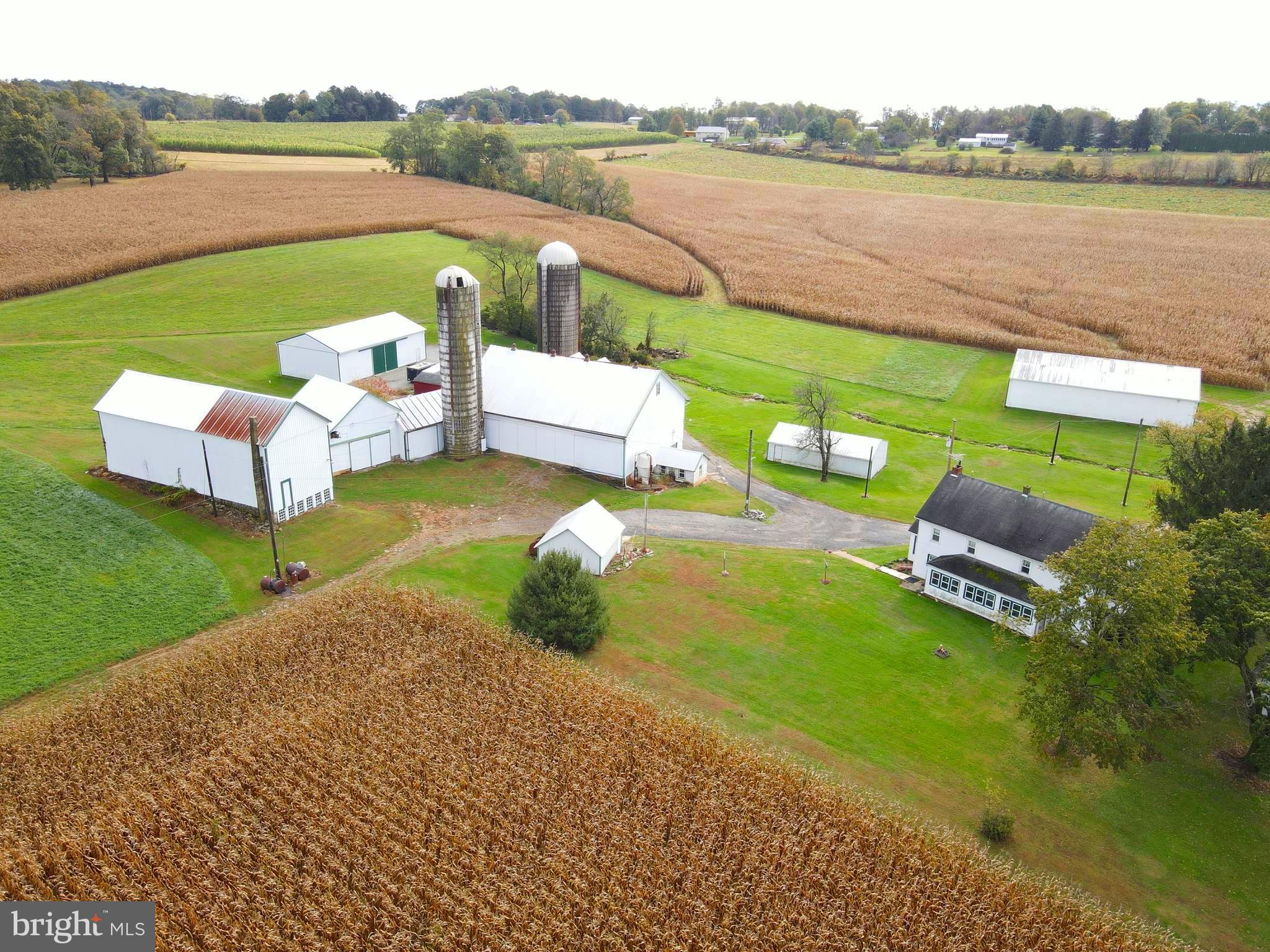 NONE AVAILABLE - Farm