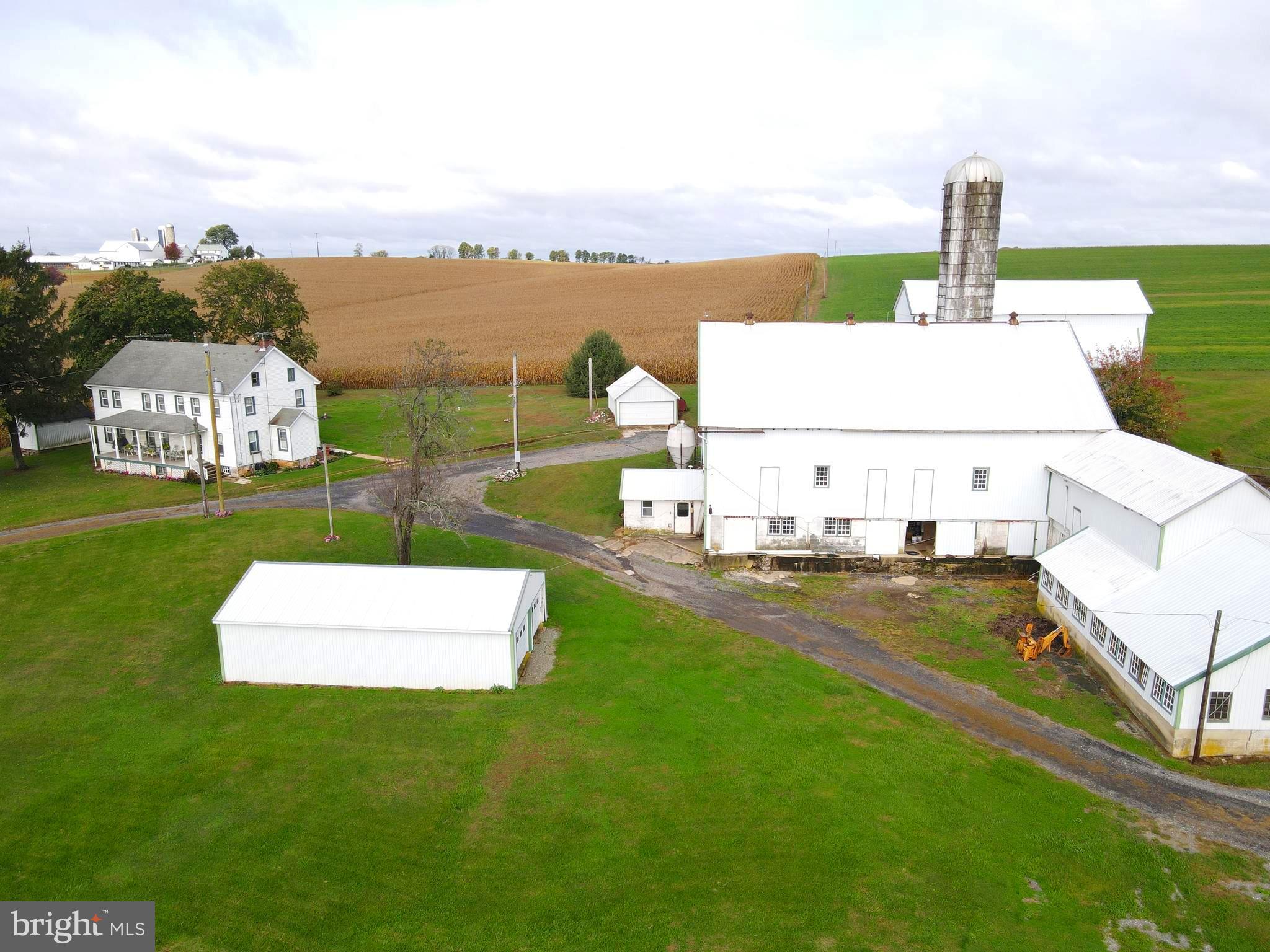 NONE AVAILABLE - Farm