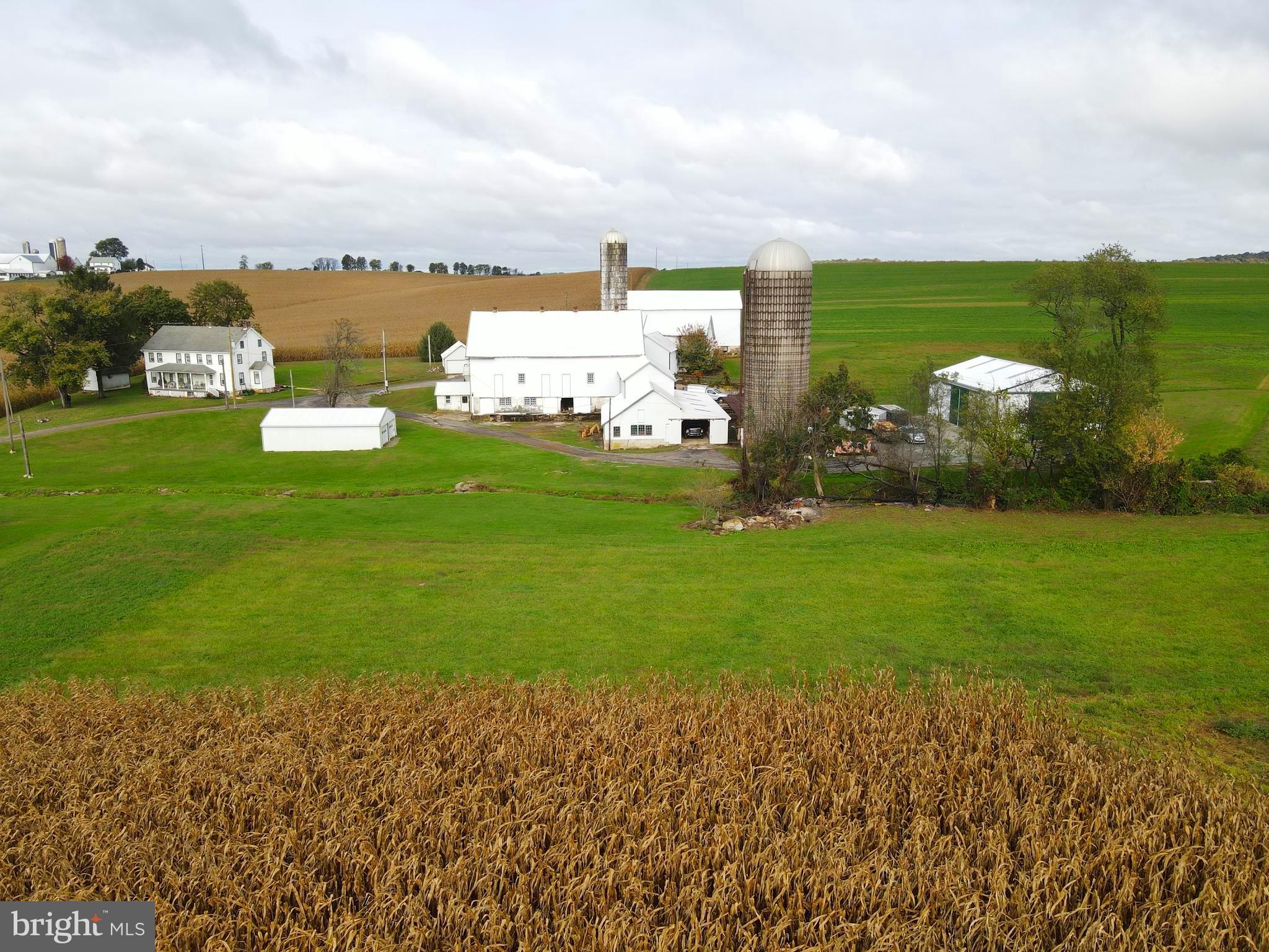 NONE AVAILABLE - Farm