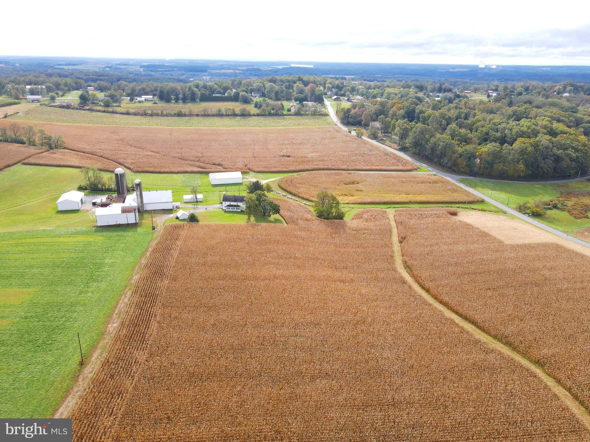 NONE AVAILABLE - Farm