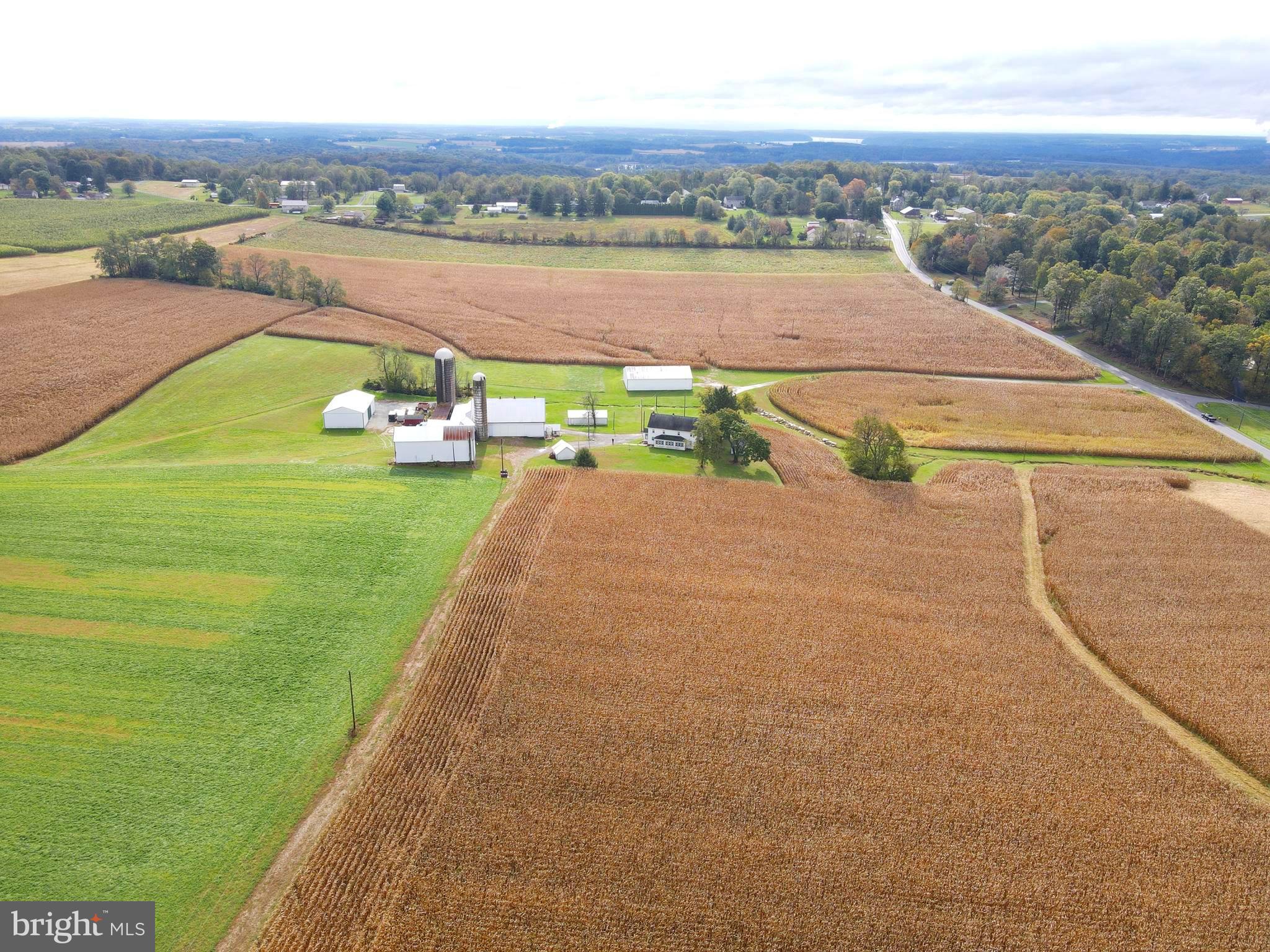 NONE AVAILABLE - Farm