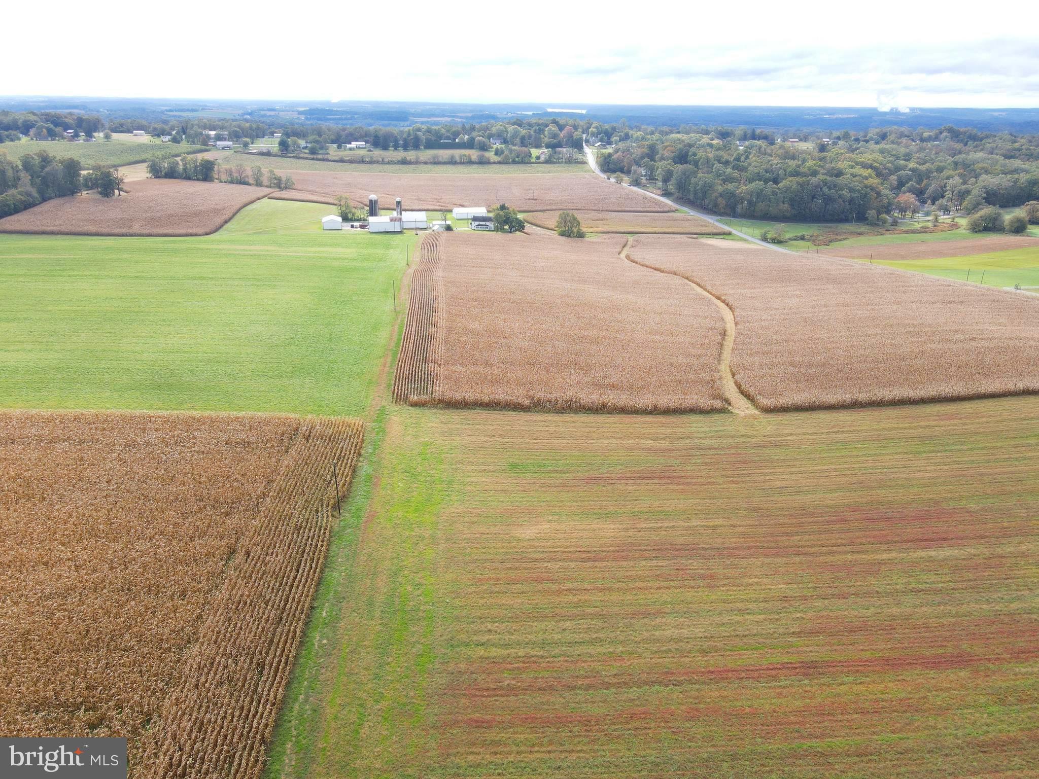 NONE AVAILABLE - Farm