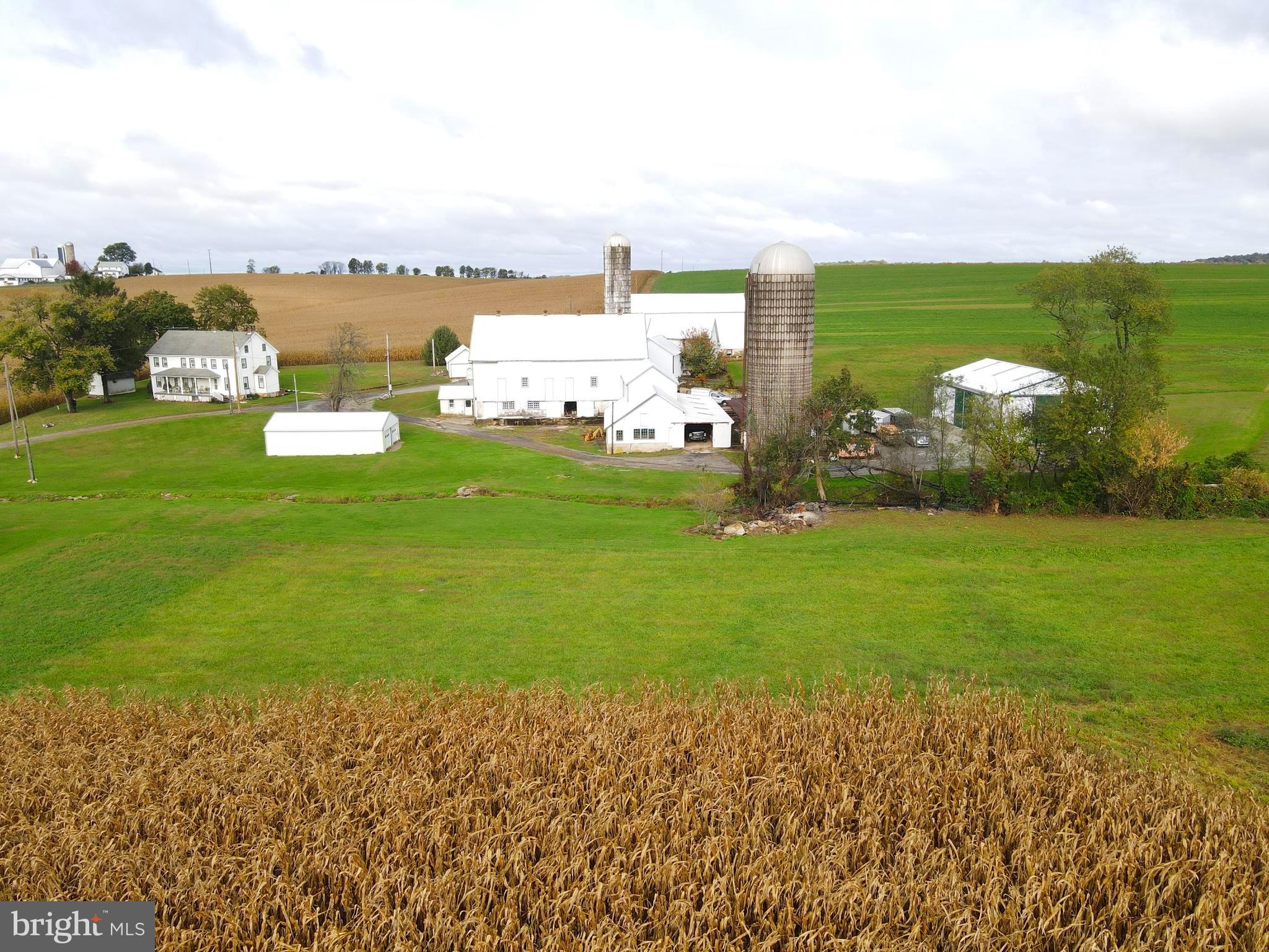 NONE AVAILABLE - Farm