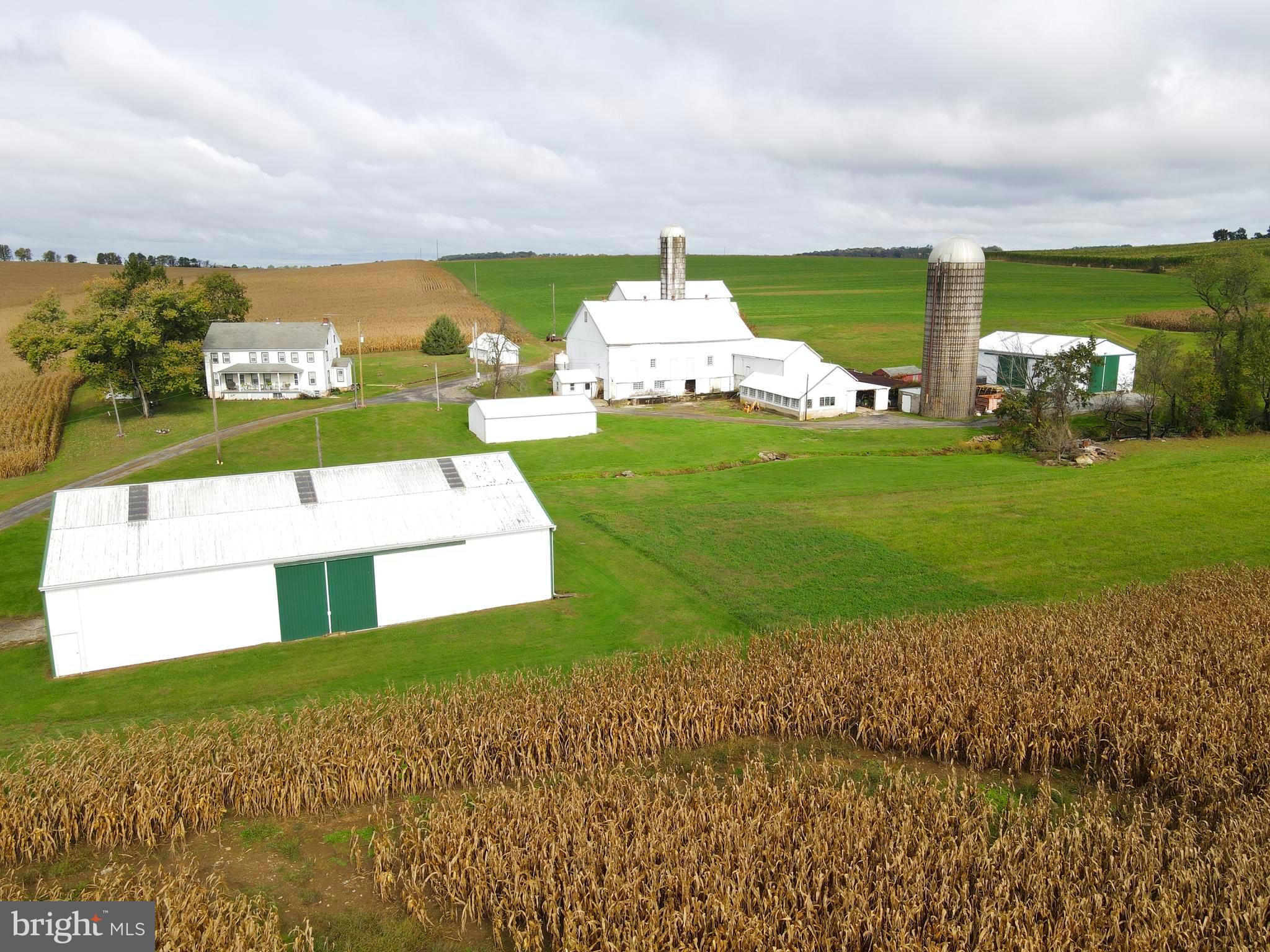 NONE AVAILABLE - Farm