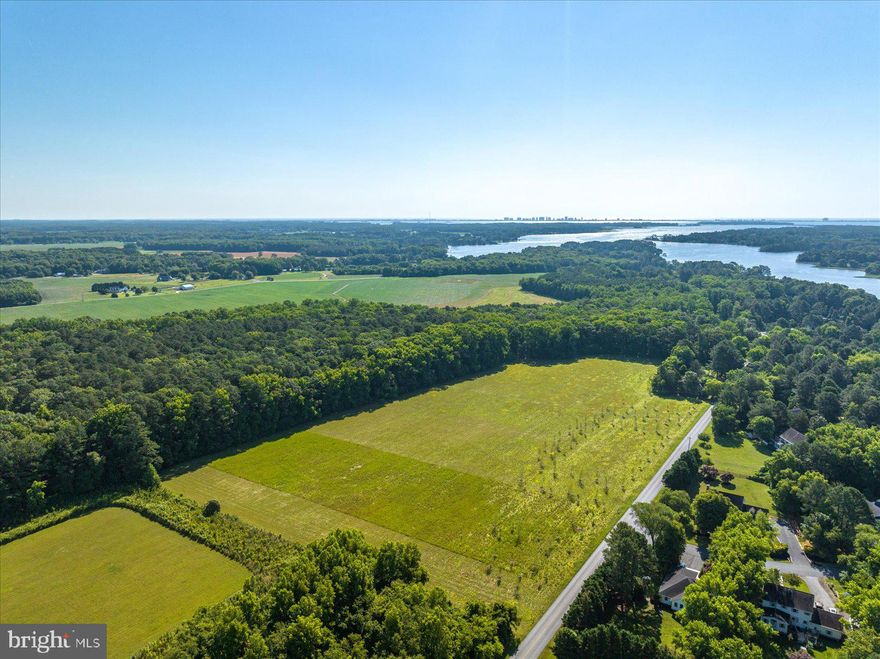 Location & privacy meet conveniently in a country setting. Rare opportunity to own one-of-a-kind property! This land has been in the family for generations, now subdivided and ready to build!  Gorgeous lot just under 3 acres backing to Forest Conservation area. Located just off Rt 113 next to fabulous Piney Island Community in a quiet neighborhood. Location gives easy access to both MD & DE beaches, nearby restaurants and more. Lot is clear, no wetlands, and approved for standard septic up to 4-bedroom house. Survey on file. No builder tie-in, no HOA fees & no city taxes.  Enjoy the leafy backdrop, bring your boat, park your RV & welcome friends & family!  Seller will be planting more trees (Red maple and River Birch) along the road for added privacy. Call today for more info. Don’t miss your chance at owning this amazing lot! (Lot 4 -  MDWO2010340 available for sale )