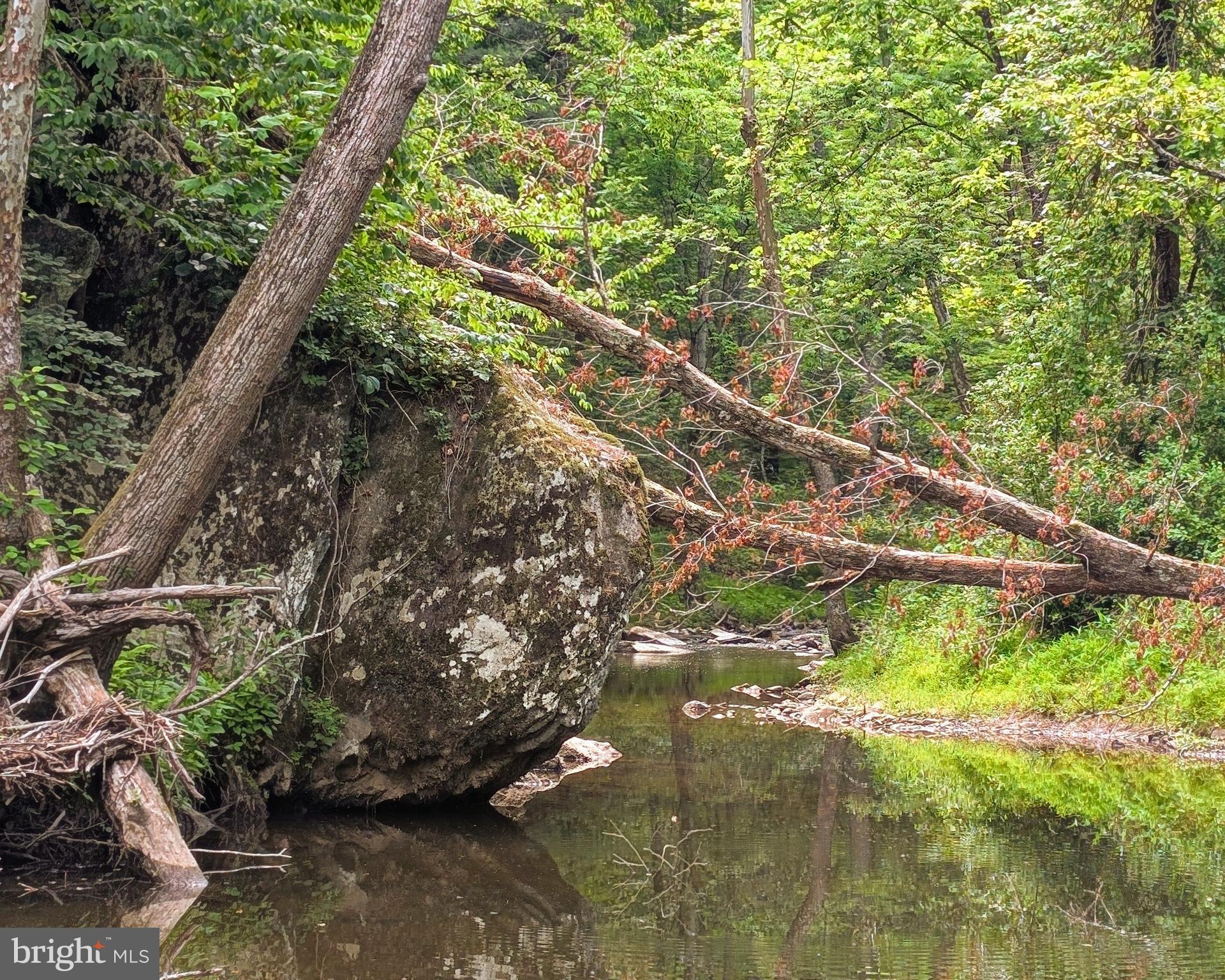 176 ROCK MILLS ROAD