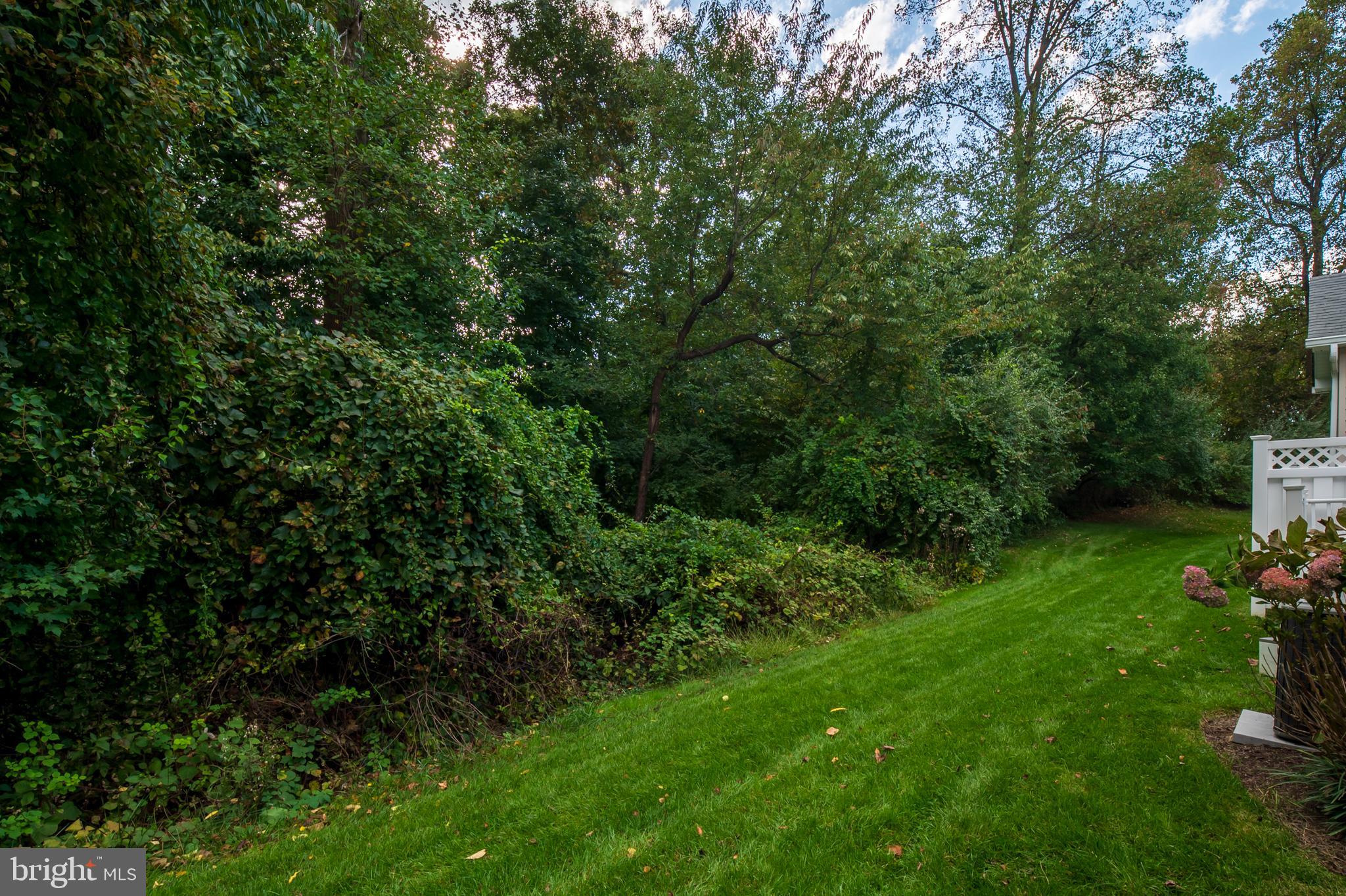 SNOWDEN OVERLOOK - Residential