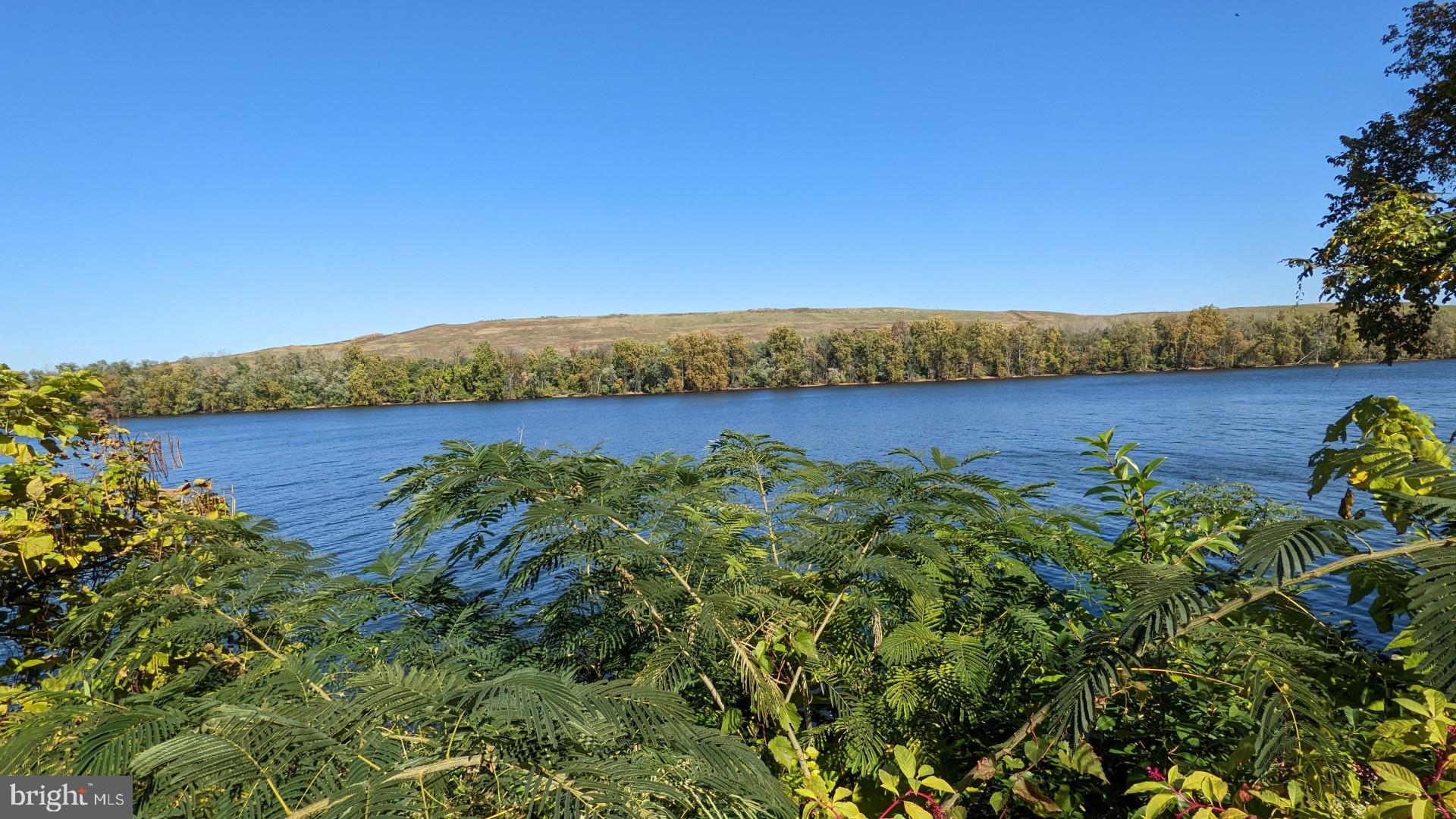 310 RIVERVIEW AVENUE