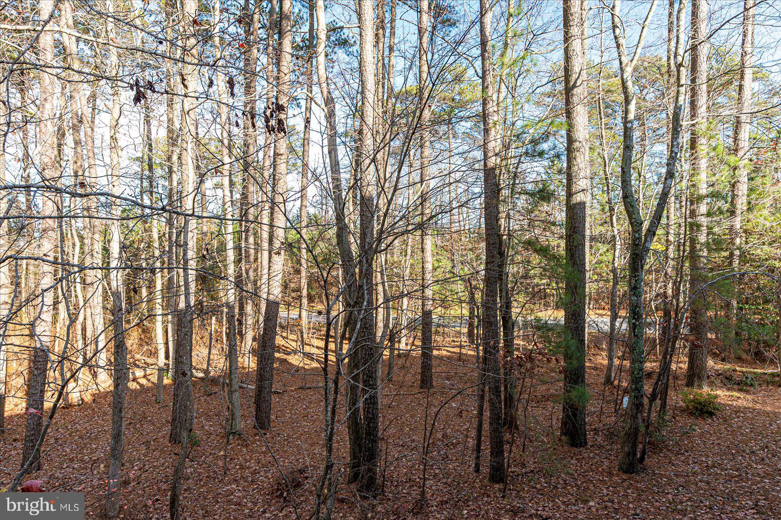 GLEN RIDDLE - Residential