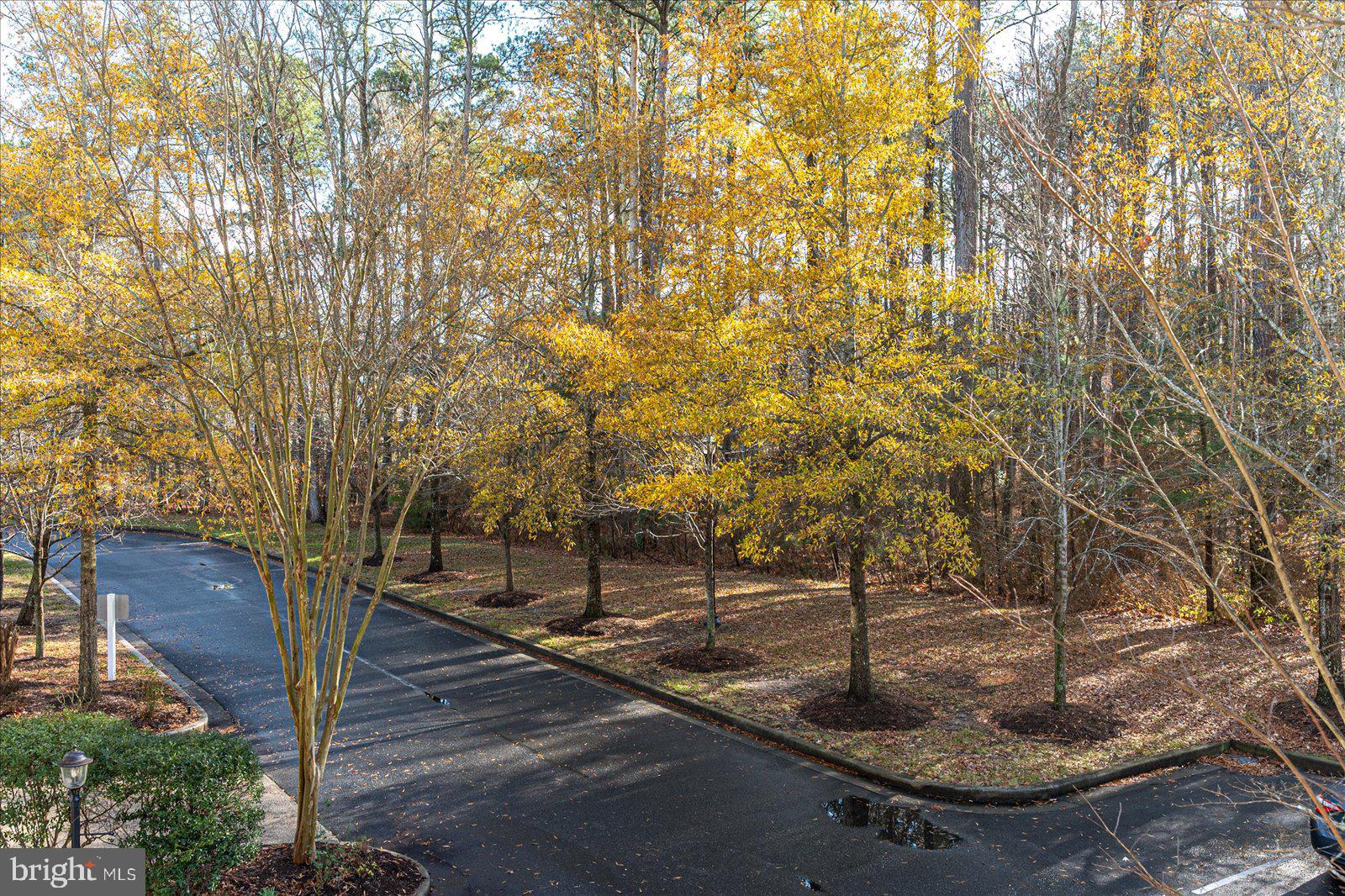 GLEN RIDDLE - Residential