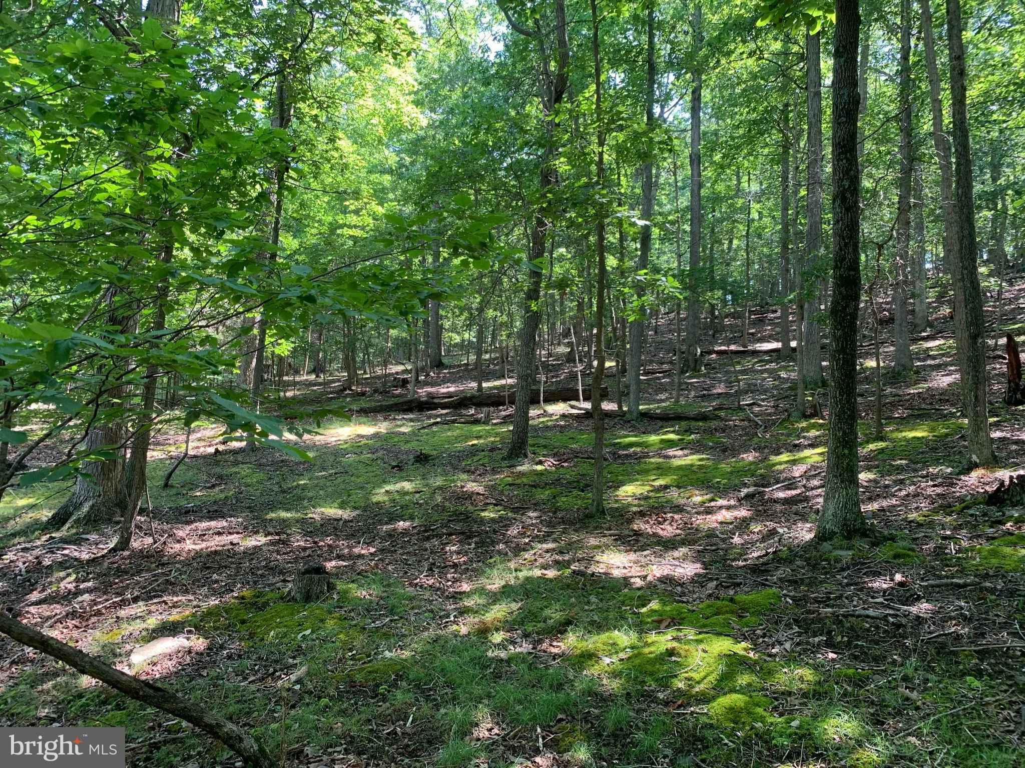 Thistle Ridge, Romney, WV 26757