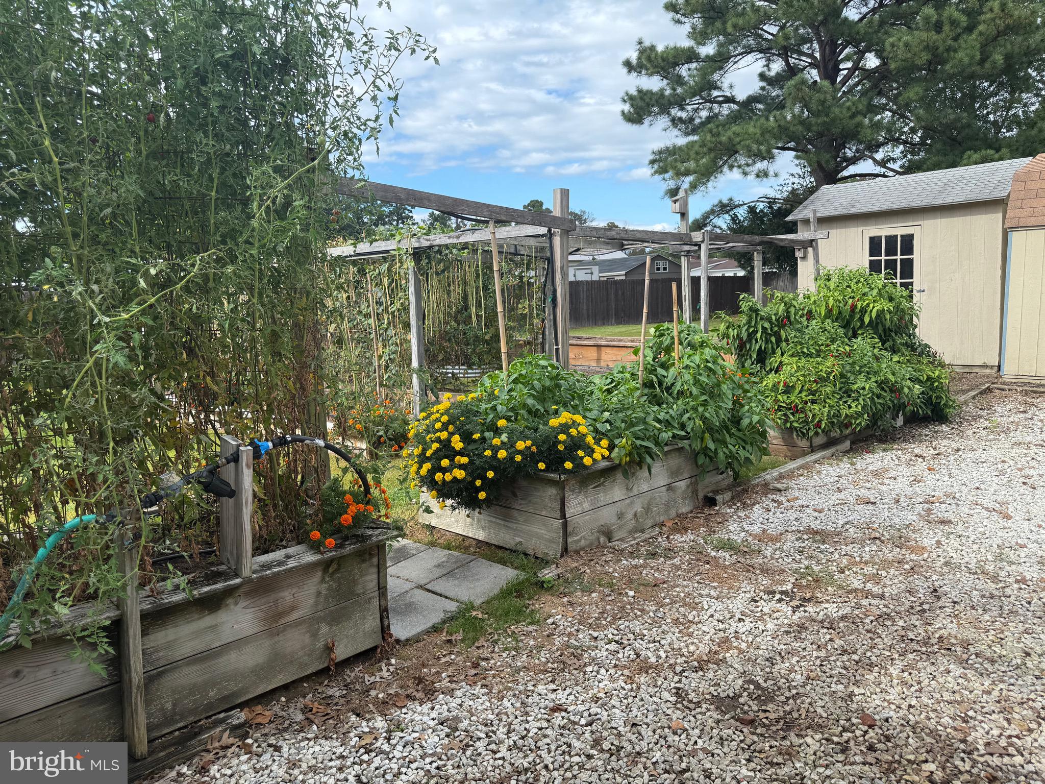 JENKINS CREEK - Residential