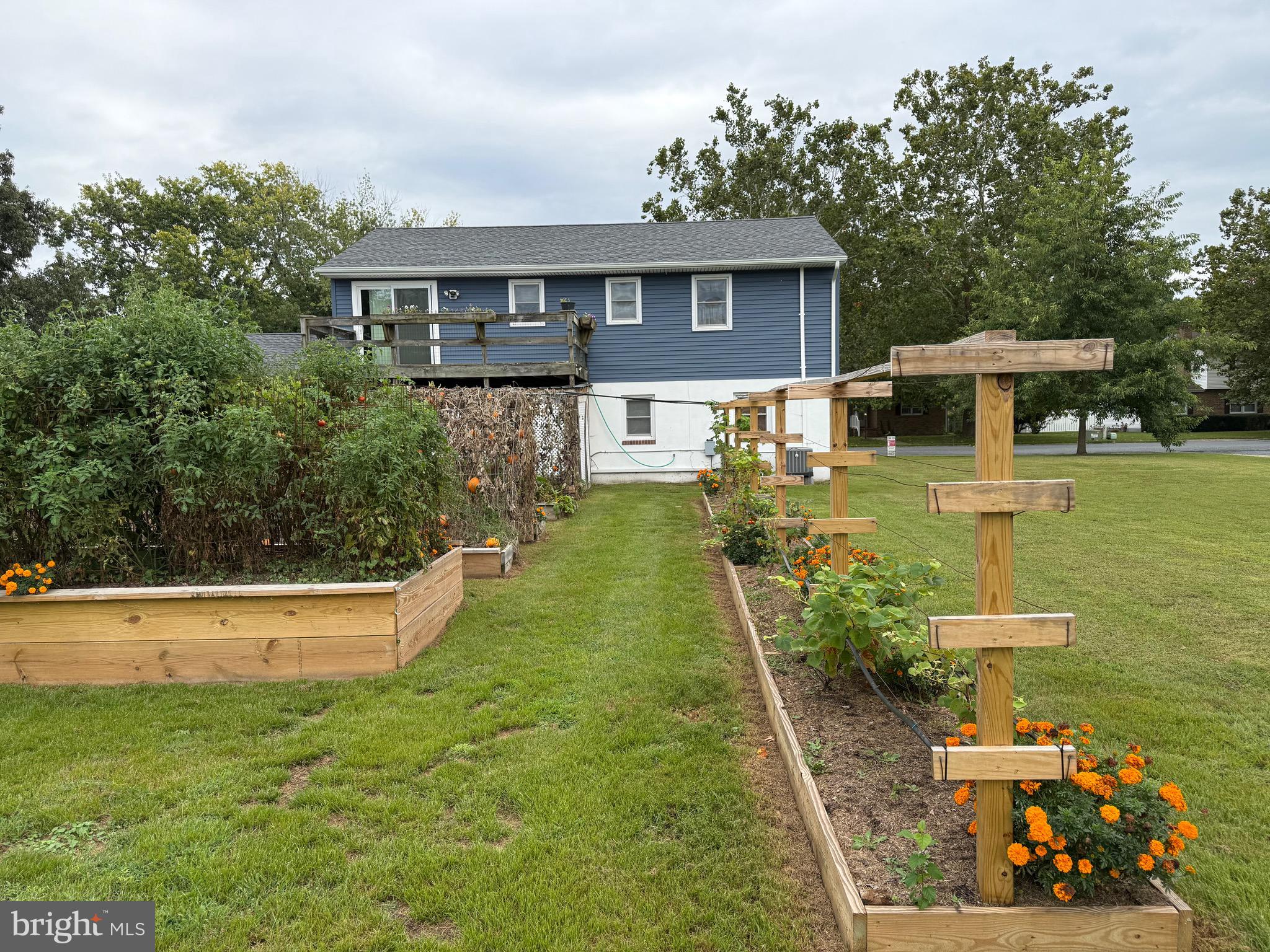 JENKINS CREEK - Residential