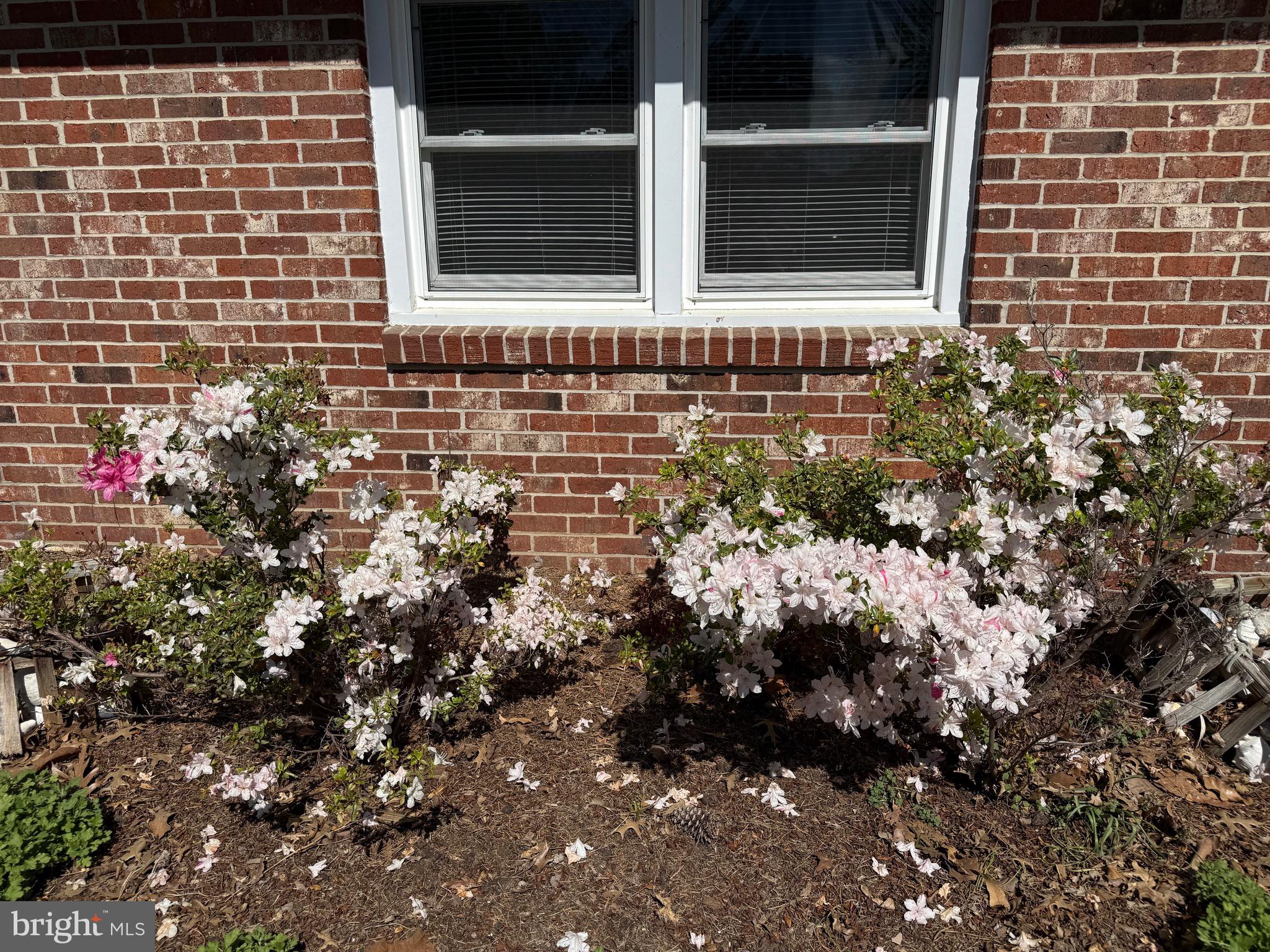 JENKINS CREEK - Residential