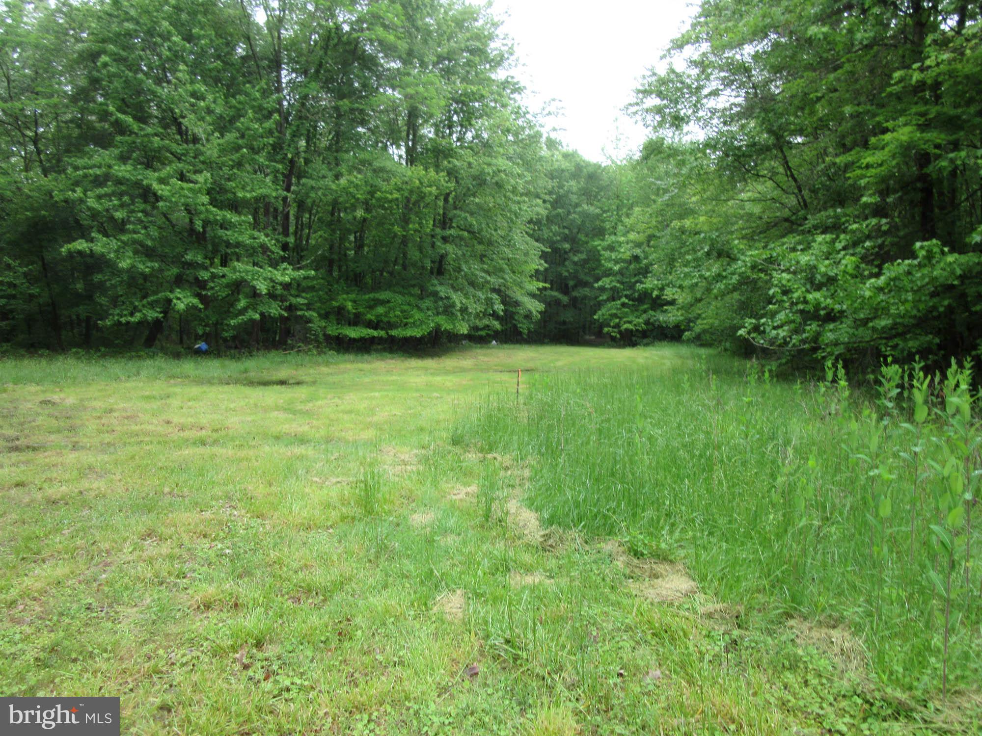 5347 OFFER LANE