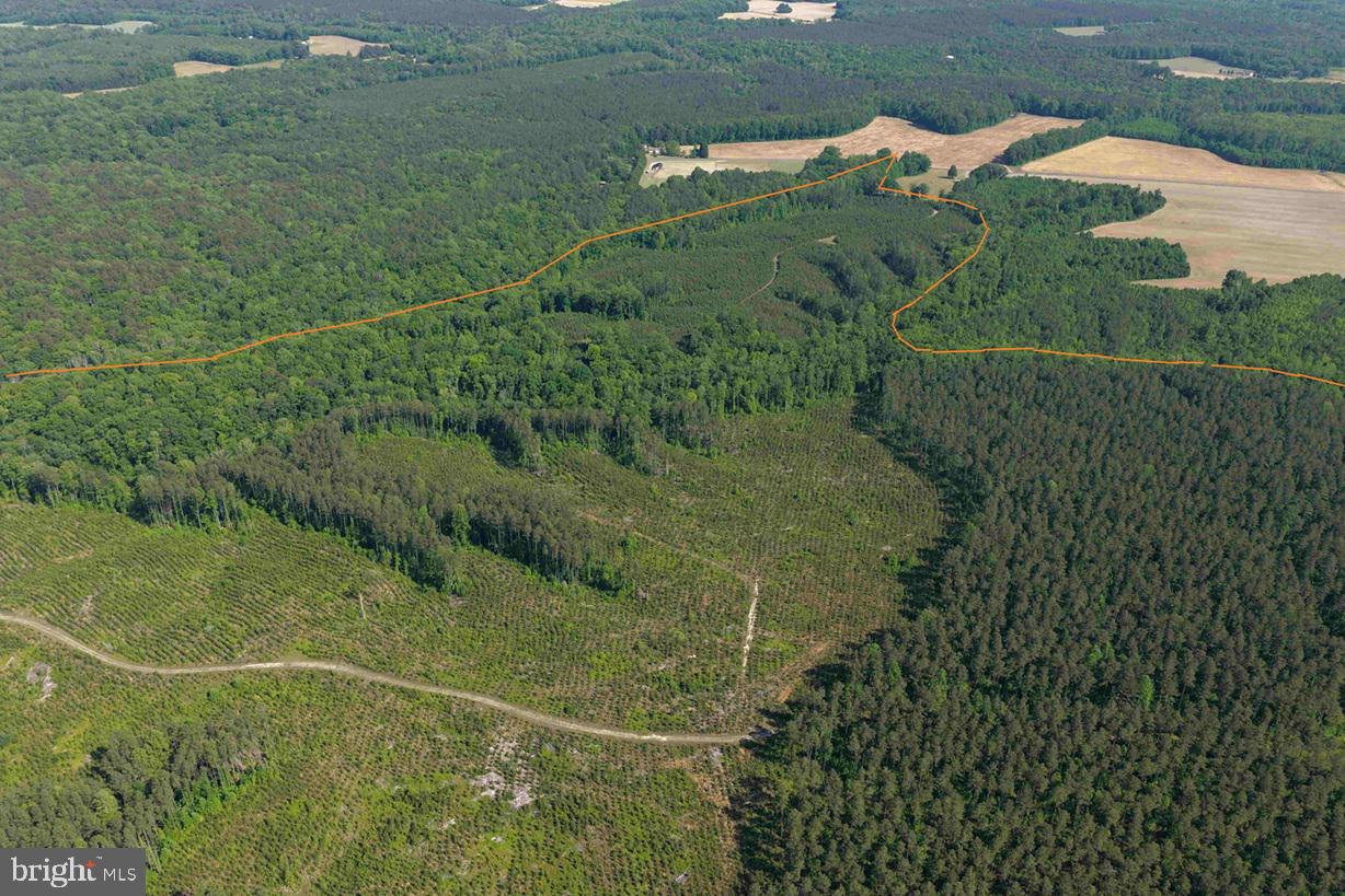DODLYT ROAD (TRACT: BK2932)