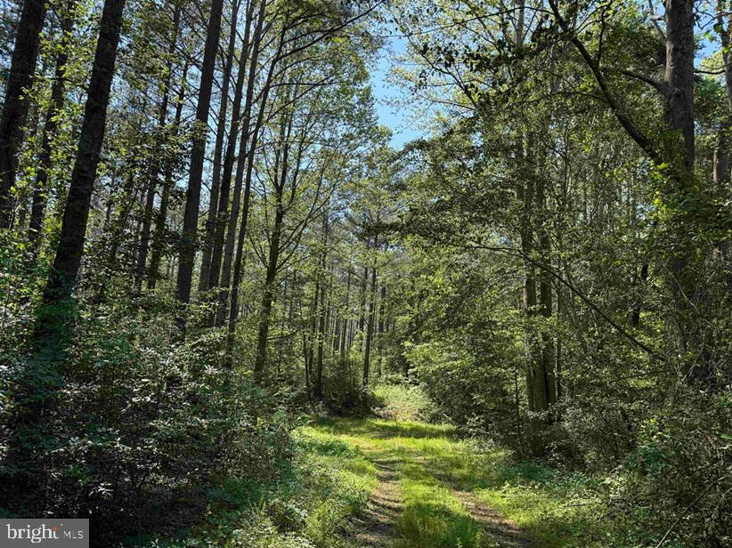 DODLYT ROAD (TRACT: BK2932)